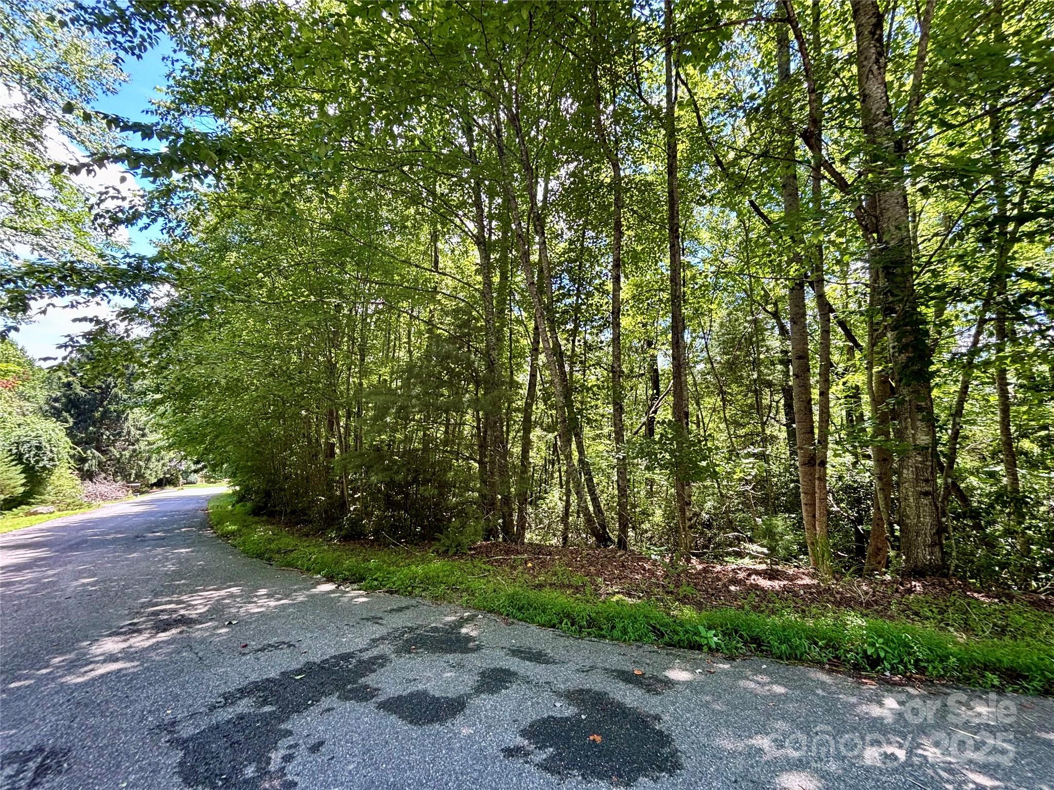 0 Laurel Forest Drive