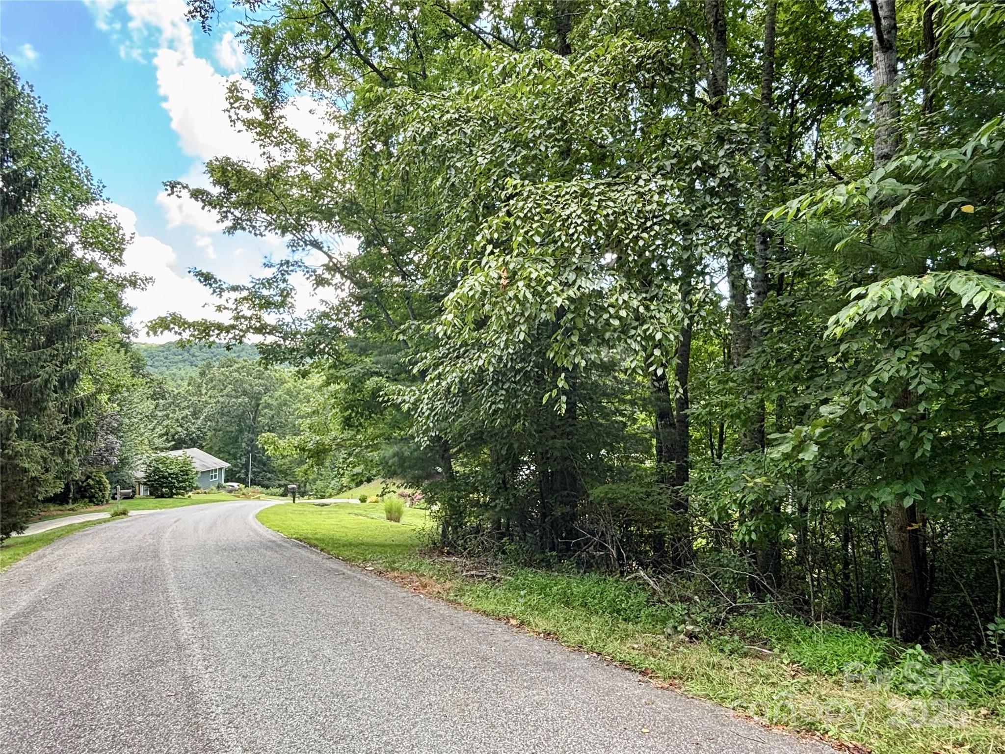 0 Laurel Forest Drive