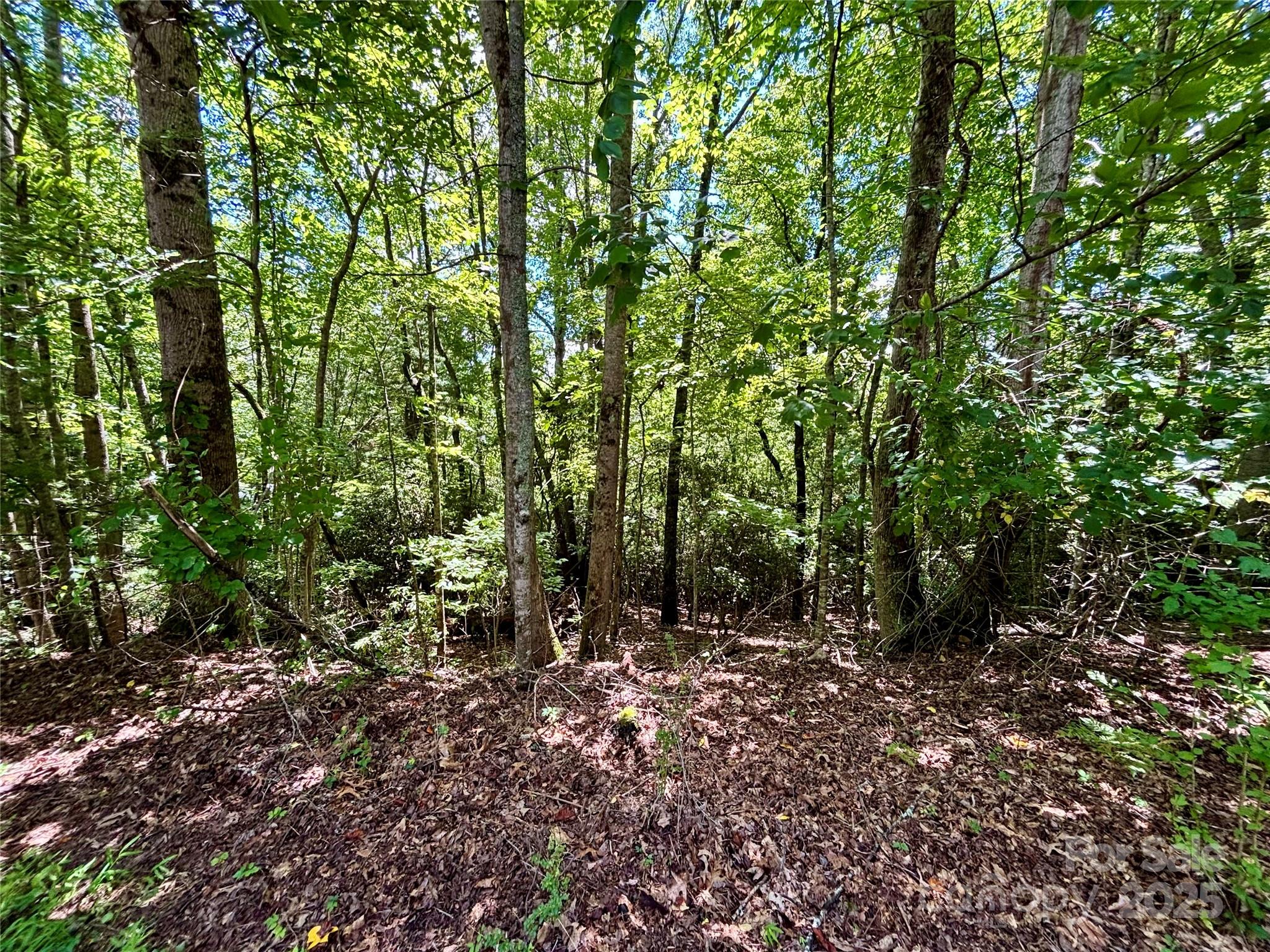 0 Laurel Forest Drive
