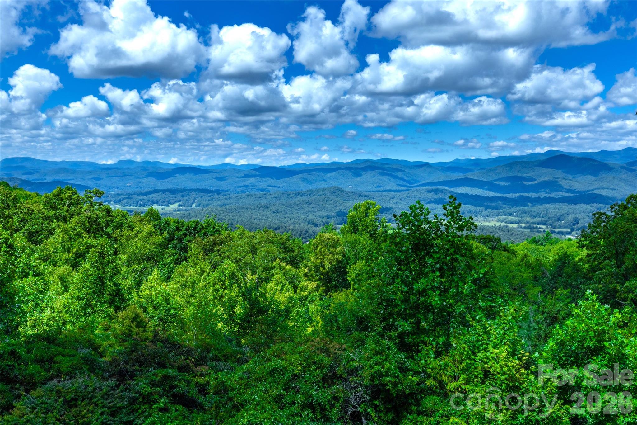 1692 Becky Mountain Road