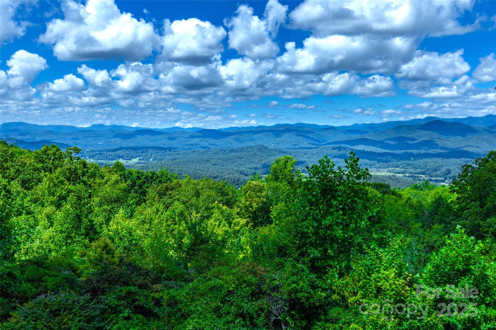 1692 Becky Mountain Road