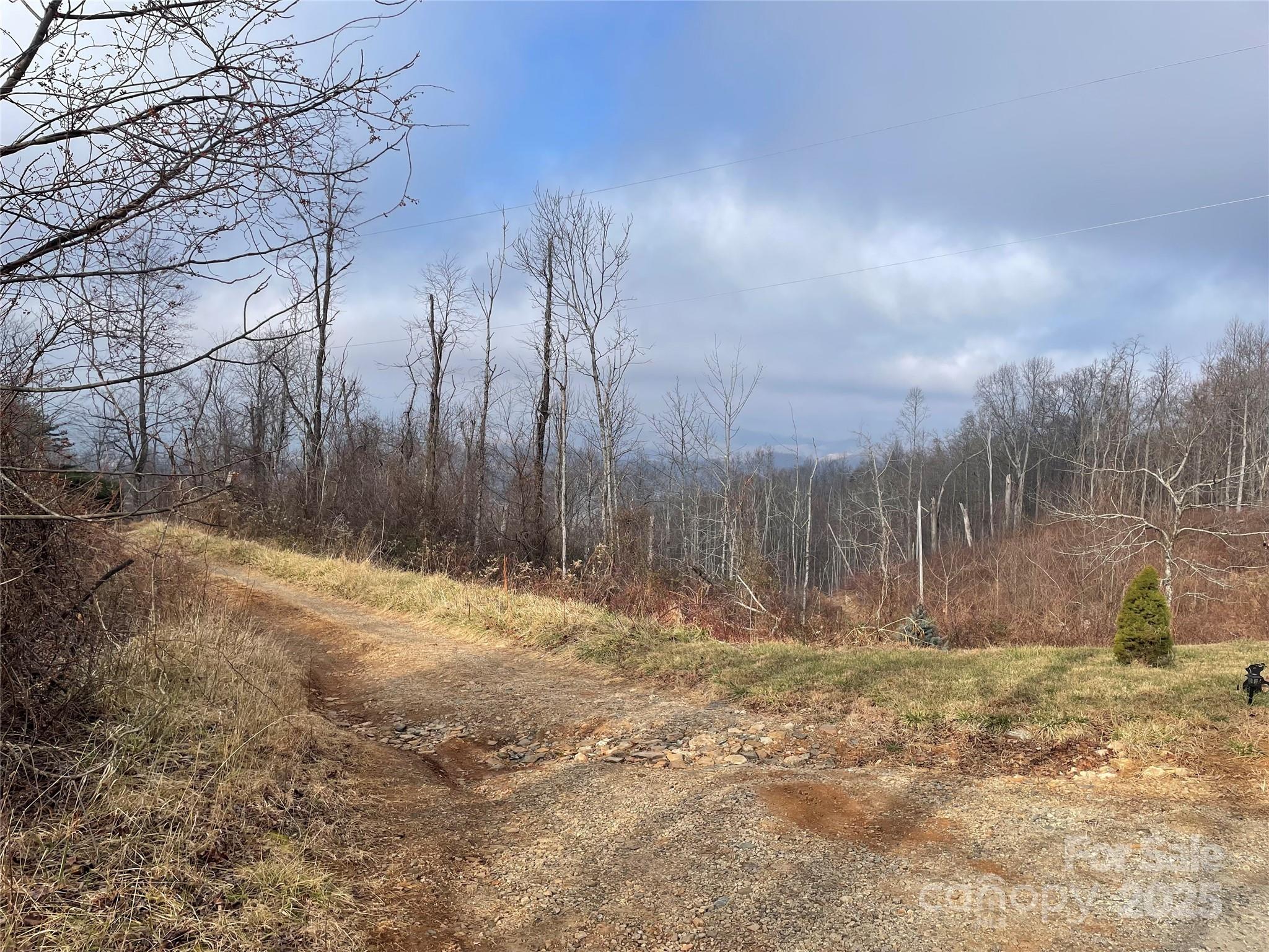 159 Jamestown Lane