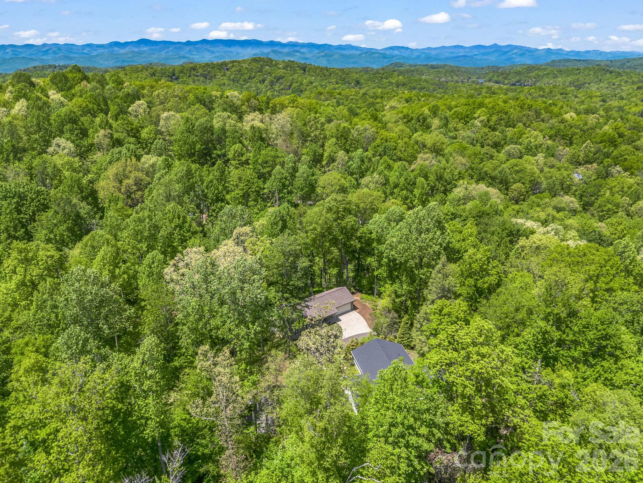 135 Half Moon Lane