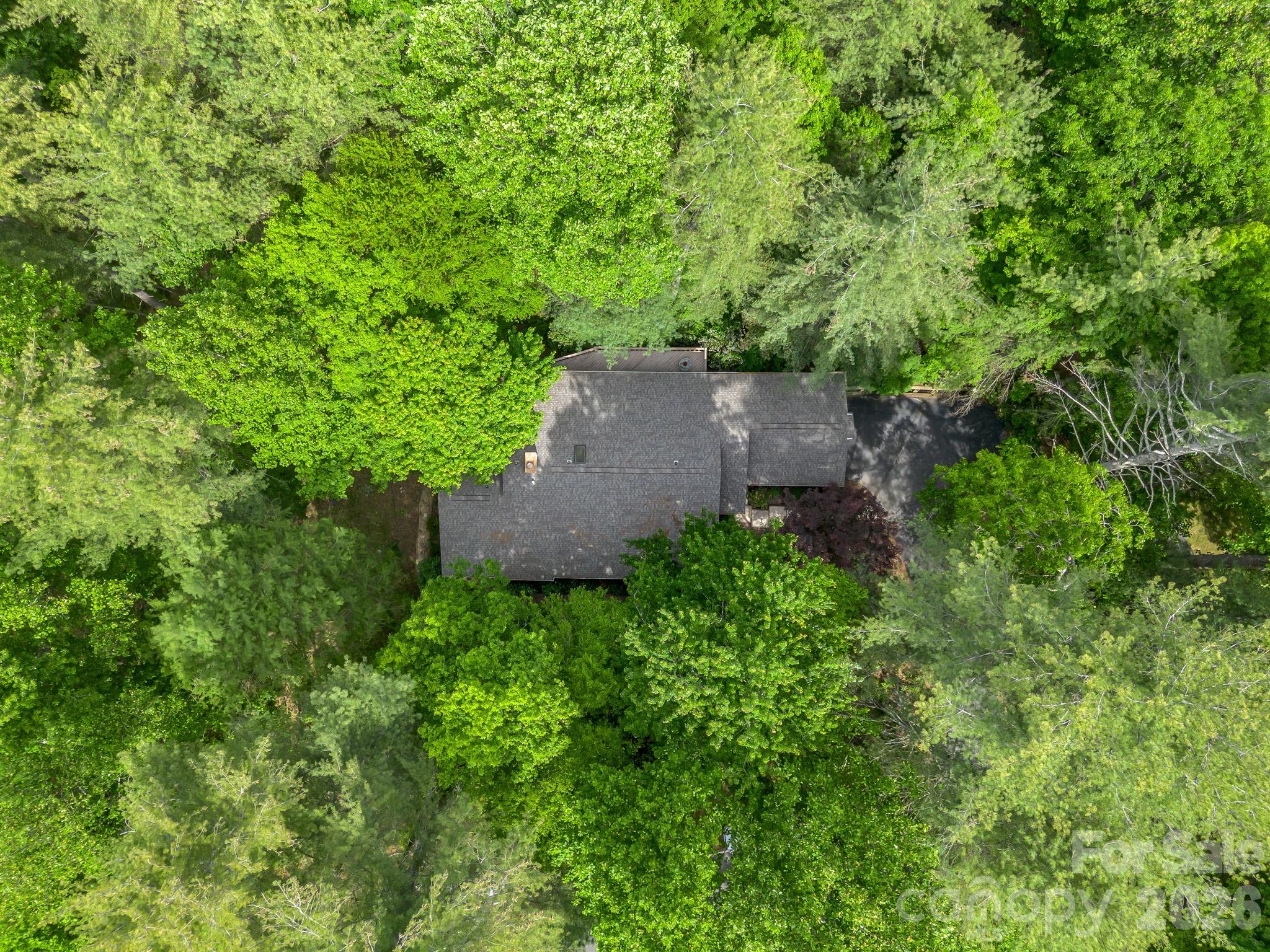118 Timber Creek Road