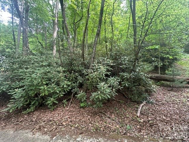 TBD Glen Cannon Drive Unit: 5-B