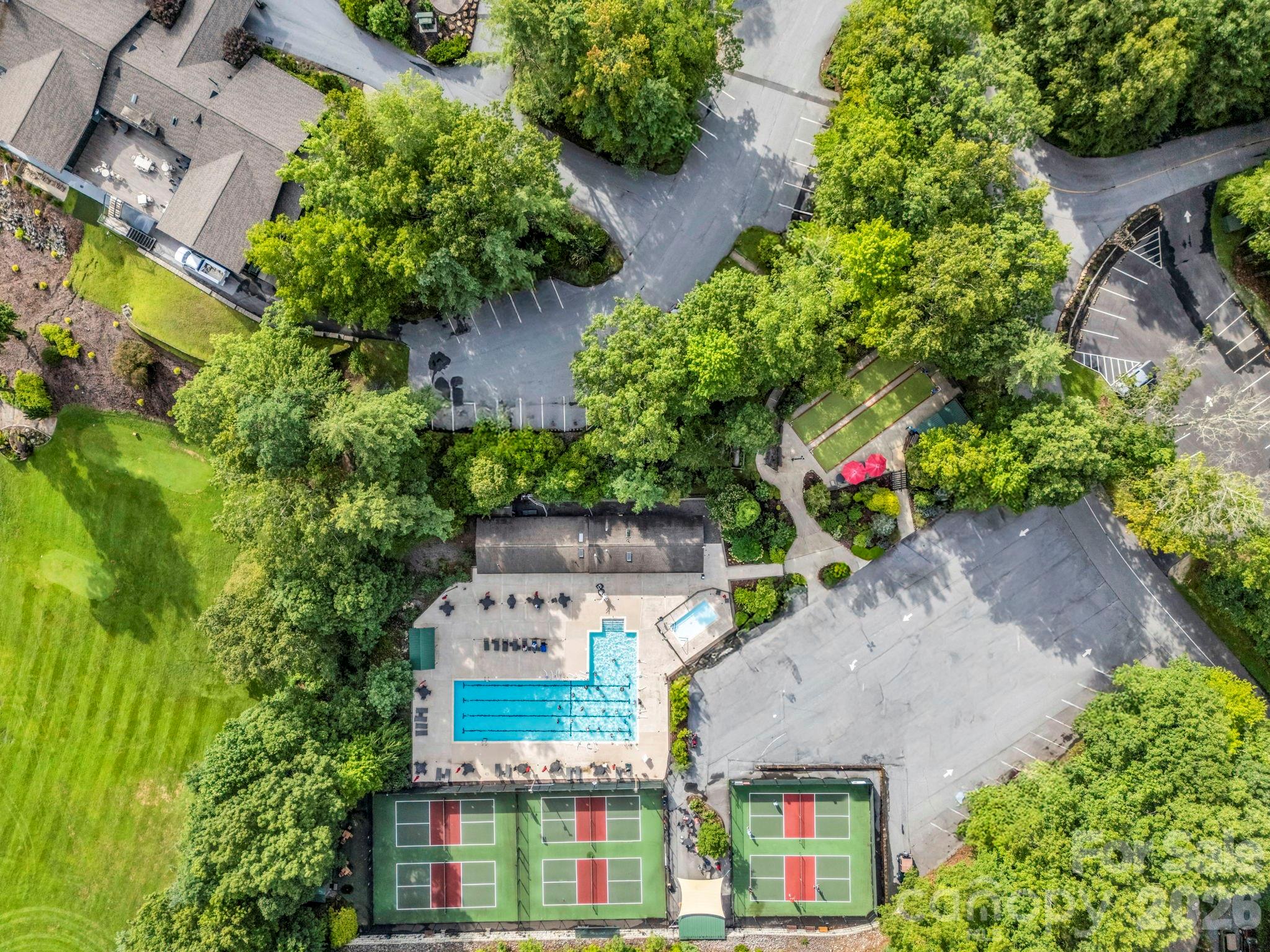 241 Dvdegi Court