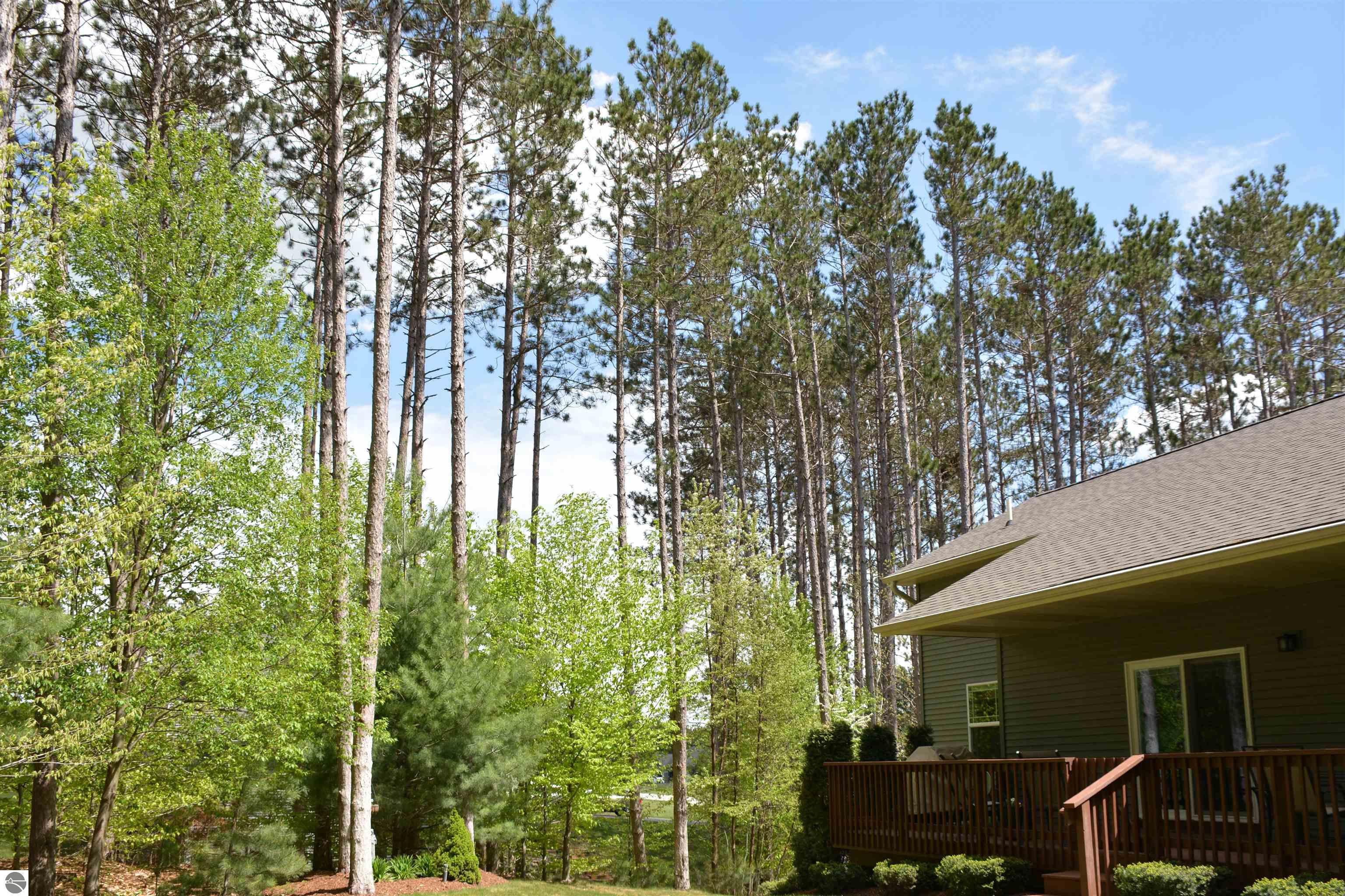 9806 King Fisher Trail