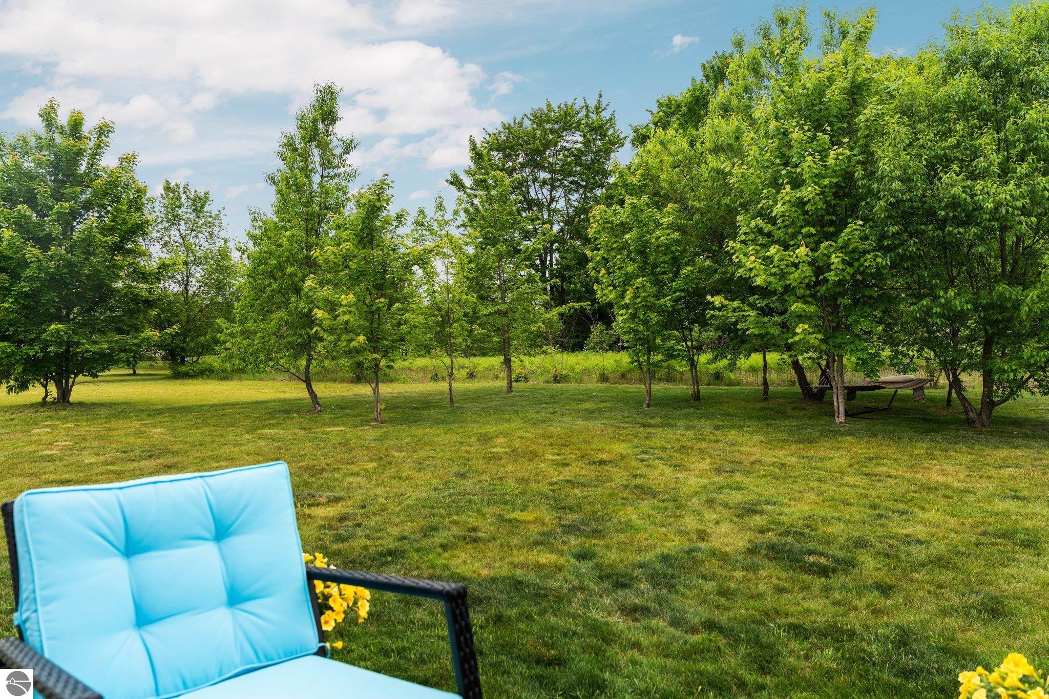 9338 Kingsfield Drive