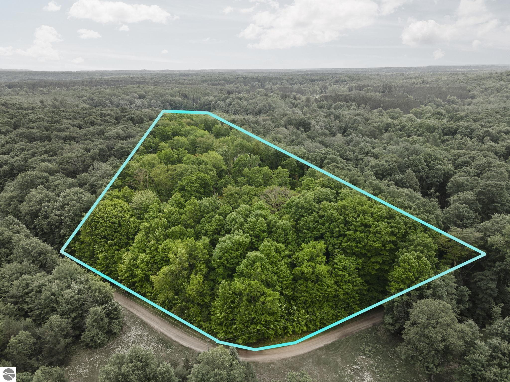 19545 Woodland Trail