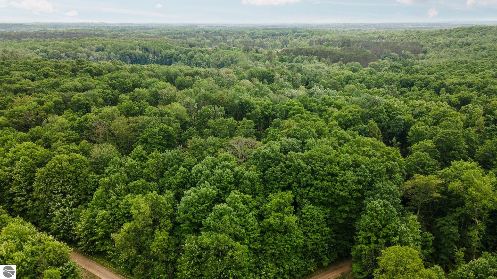 00 Woodland Trail