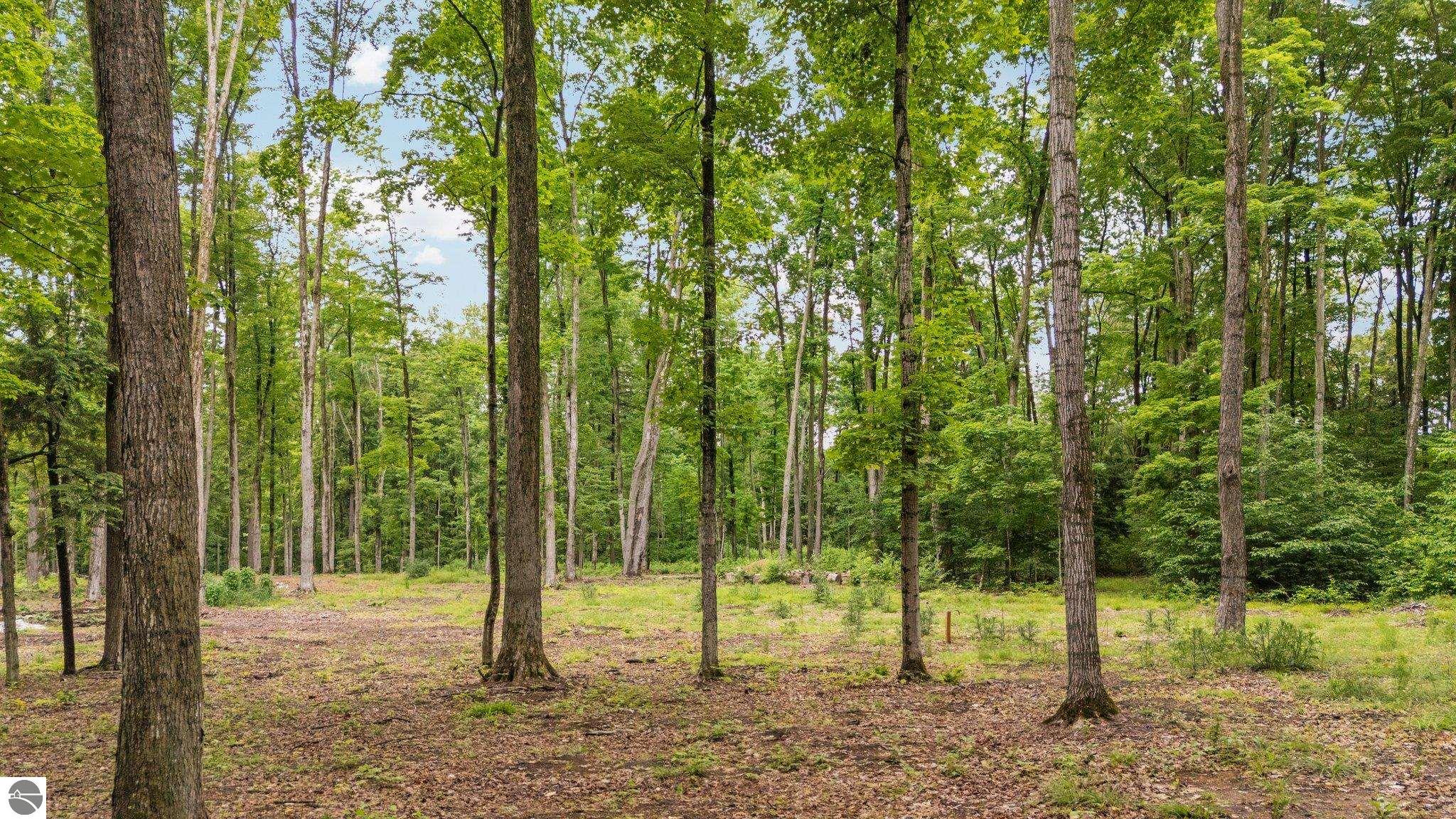 00 Woodland Trail