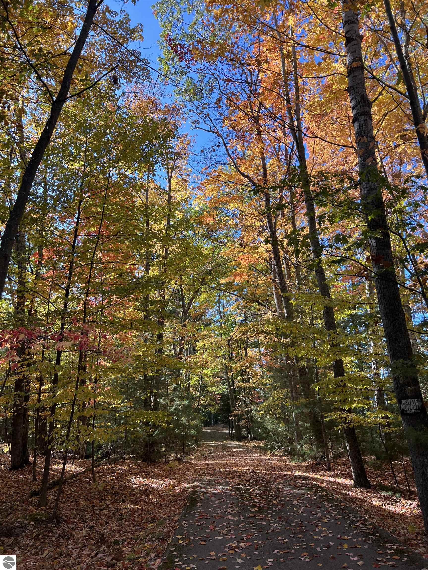 304 S Golden Beach Drive