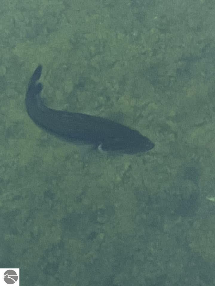 1693 Lake Louise Road