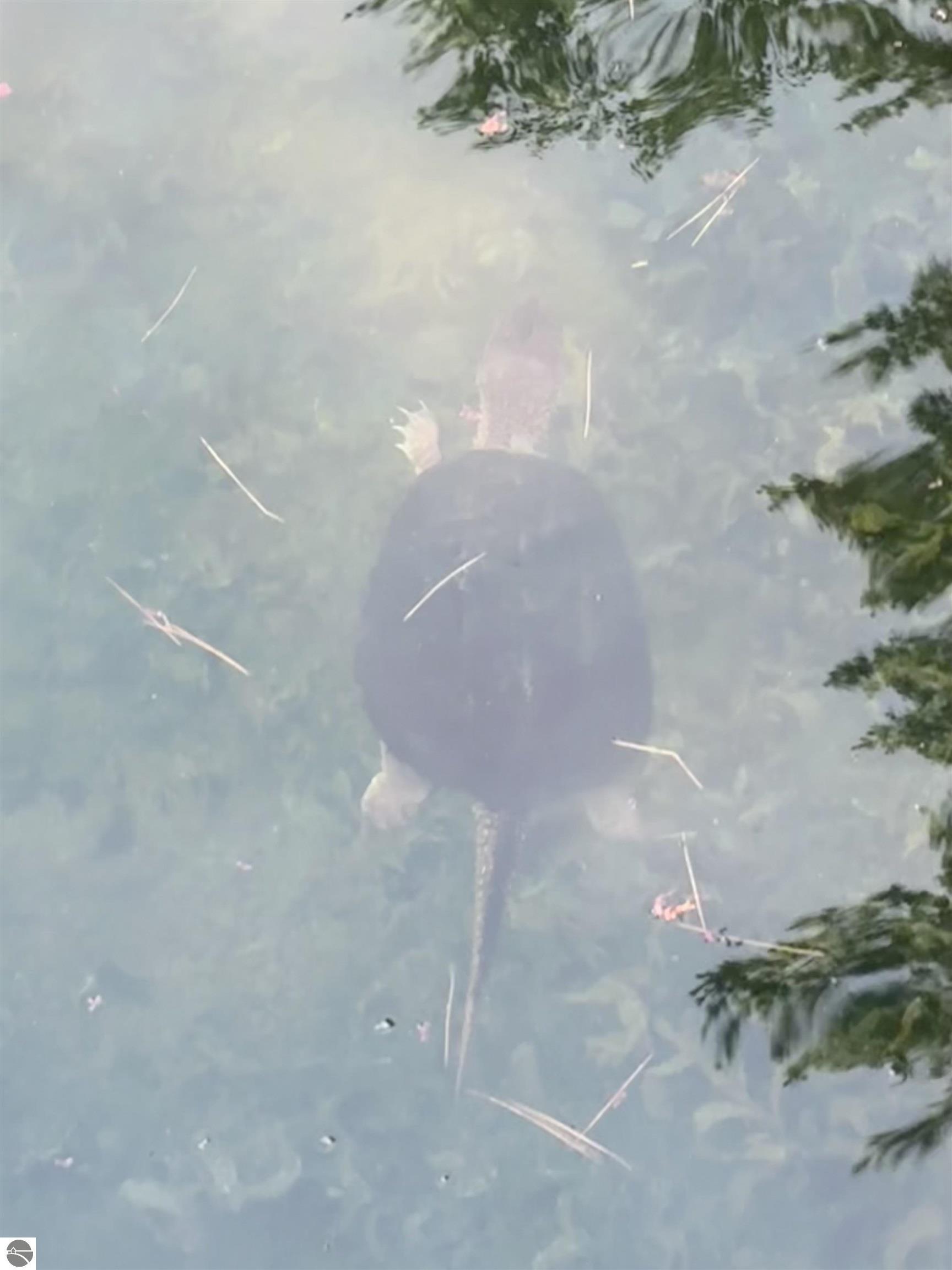 1693 Lake Louise Road