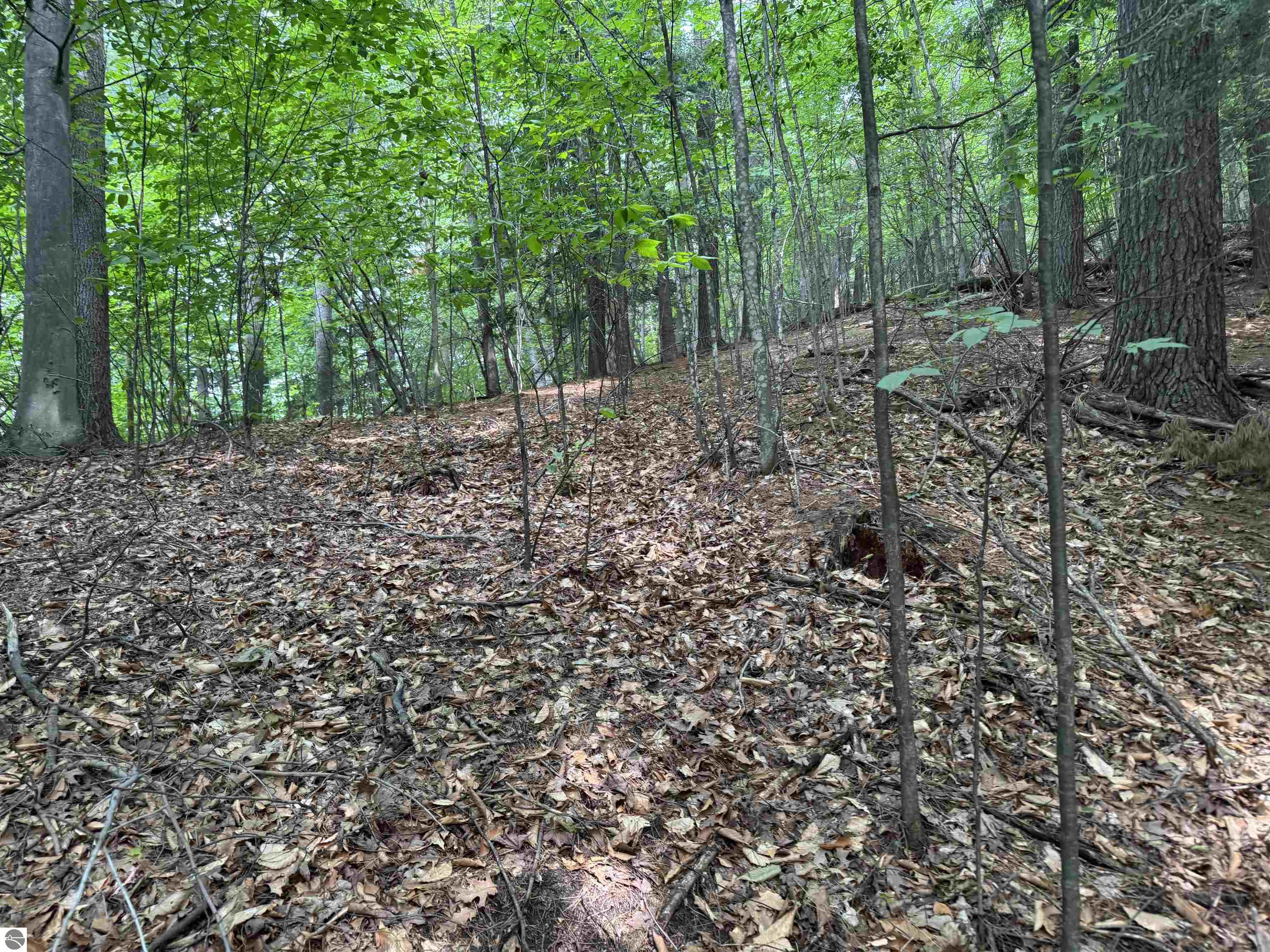 Lot 18 Woods Drive