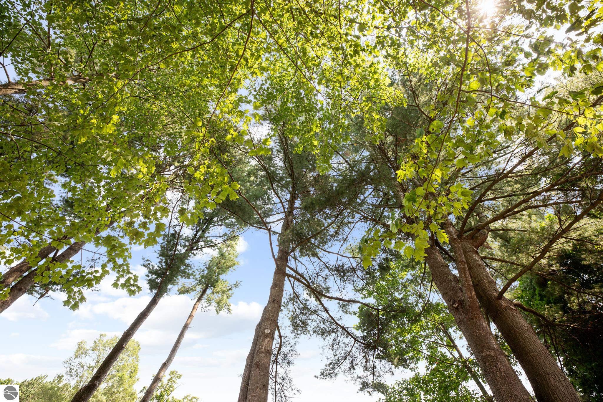 1970 South Long Lake Road