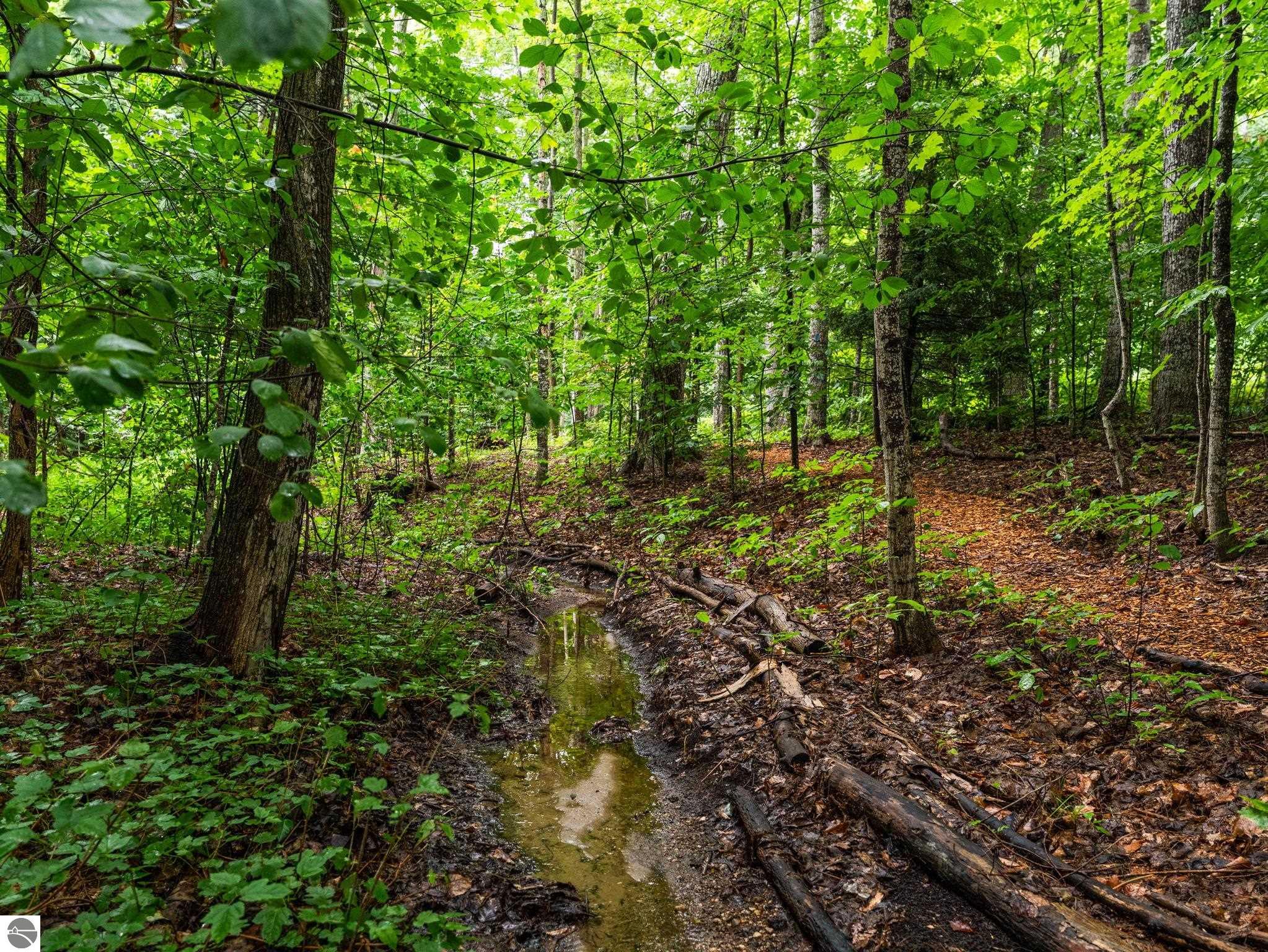 12055 S Woodwinds Circle # 25