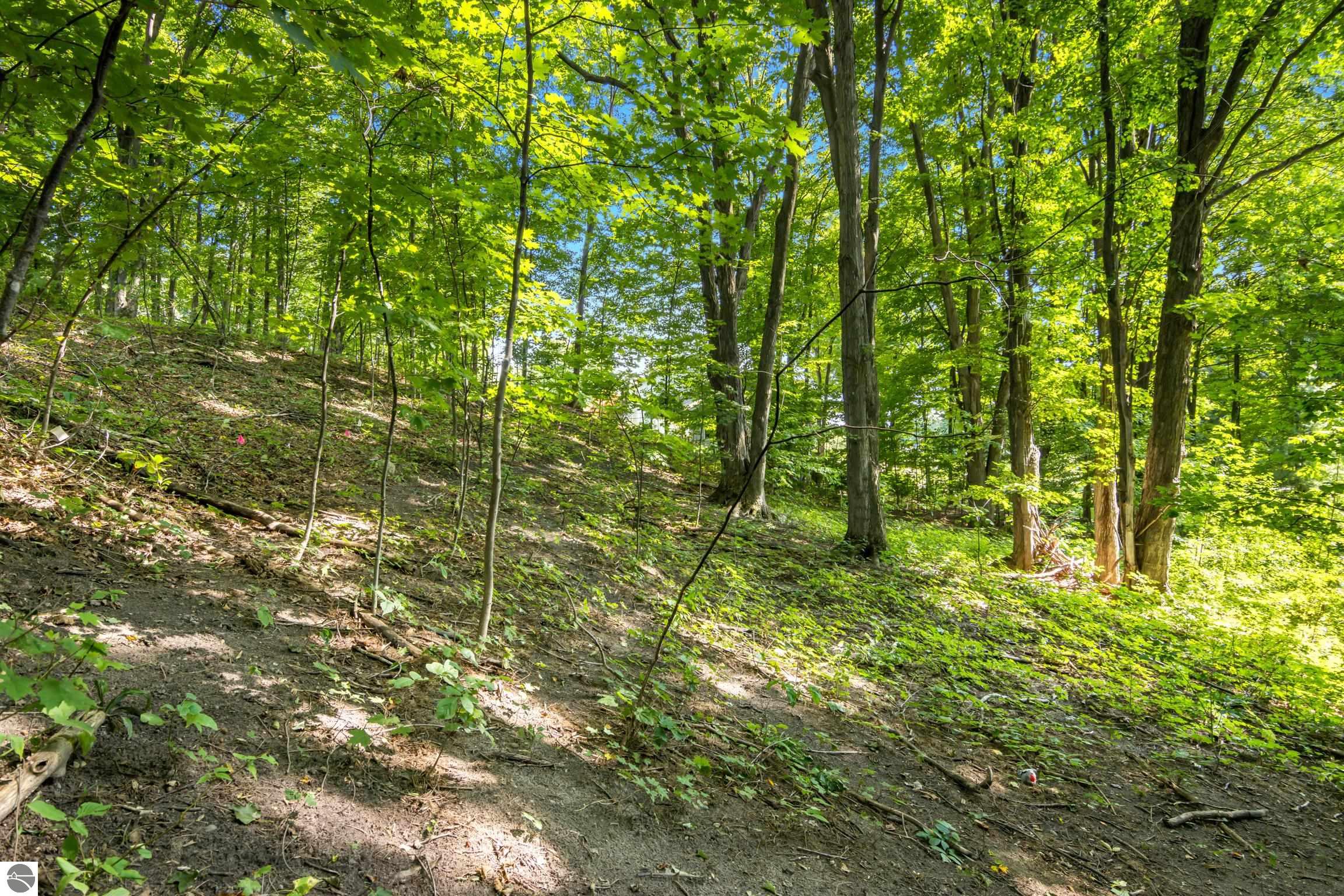 3379 Silver Farms Lane