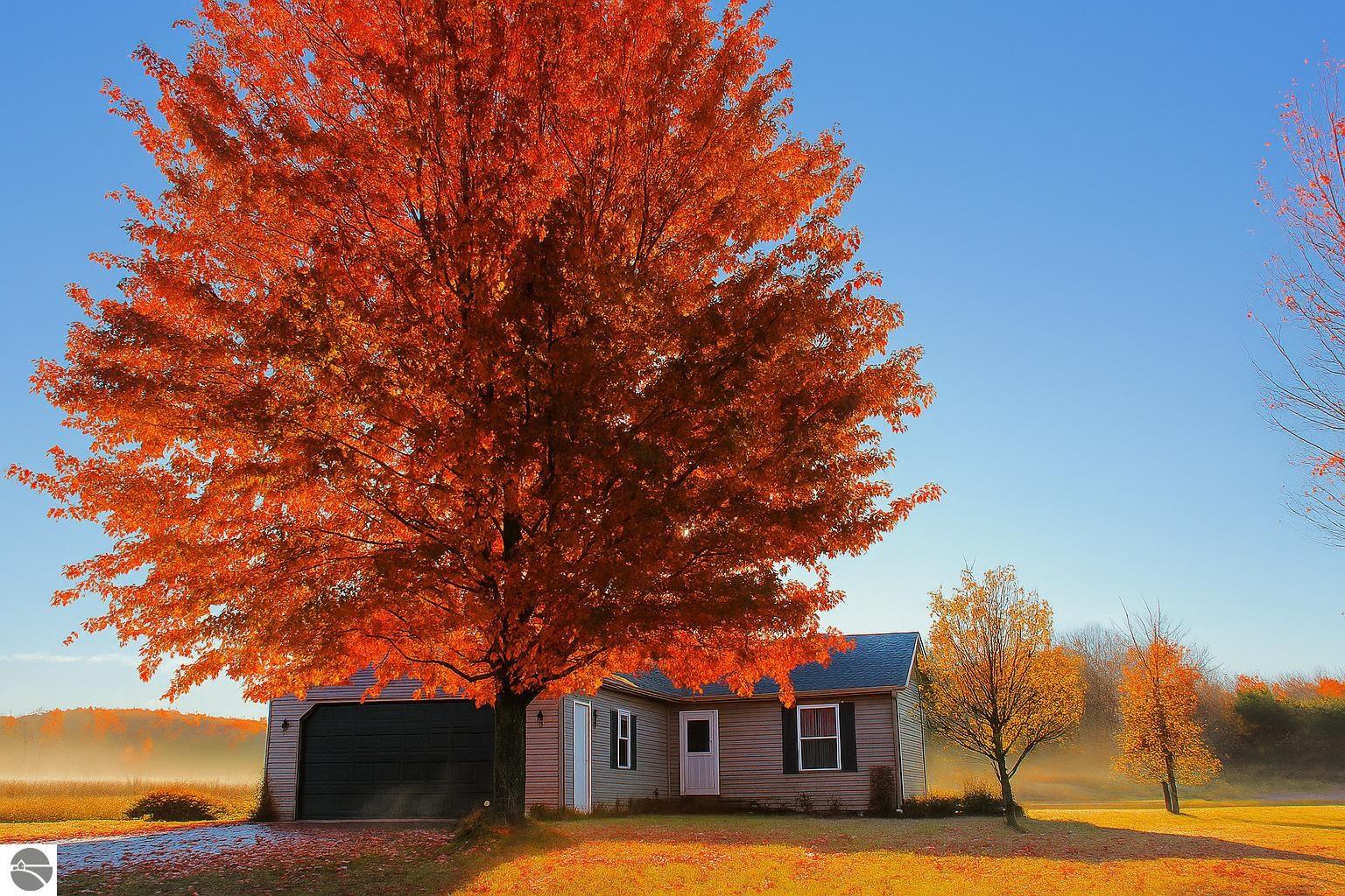 9297 Kingsfield Drive