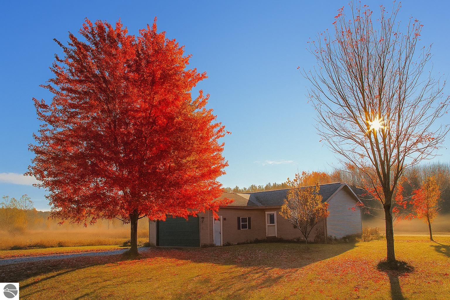 9297 Kingsfield Drive