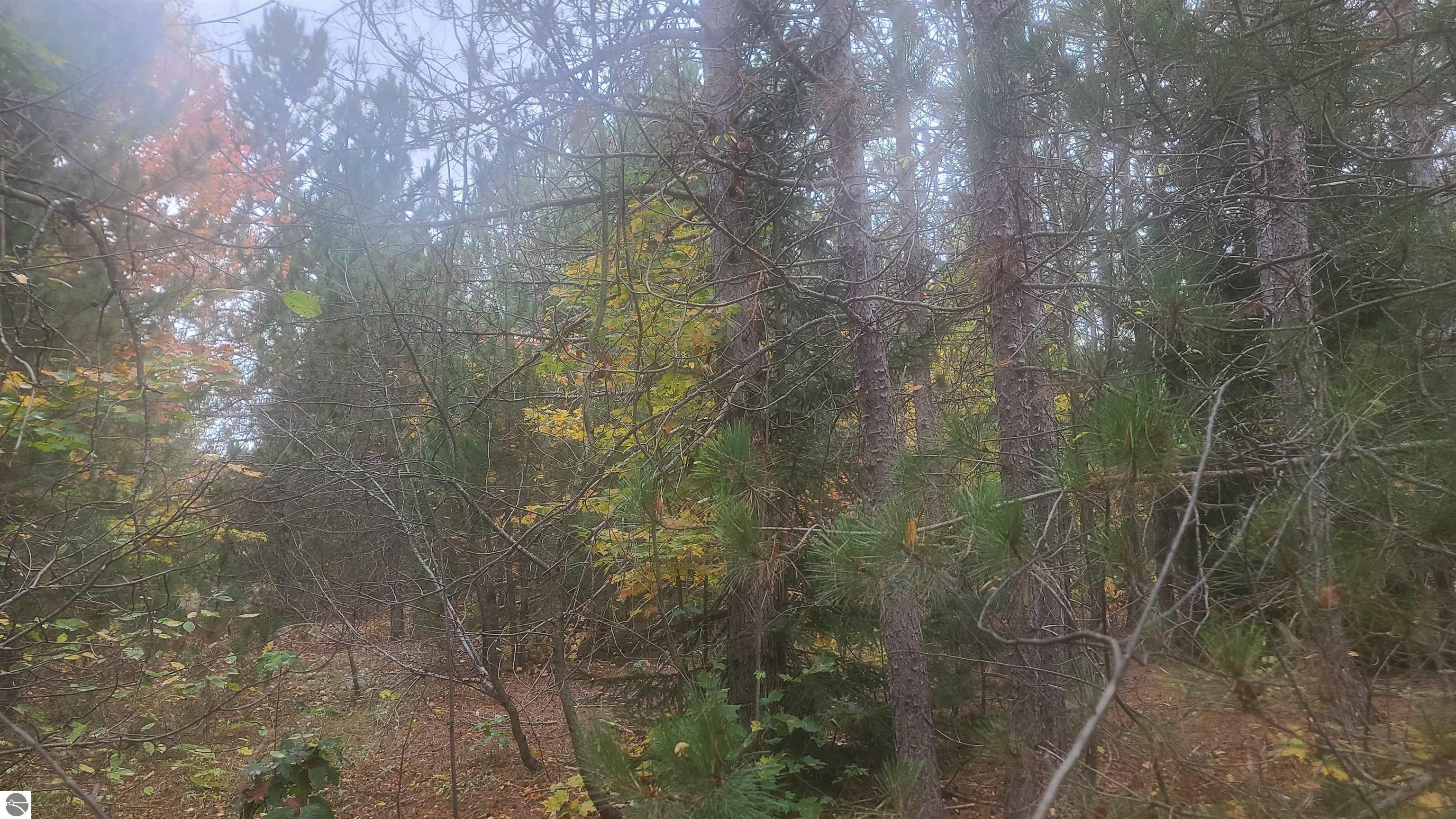 0001 Cedar River Road