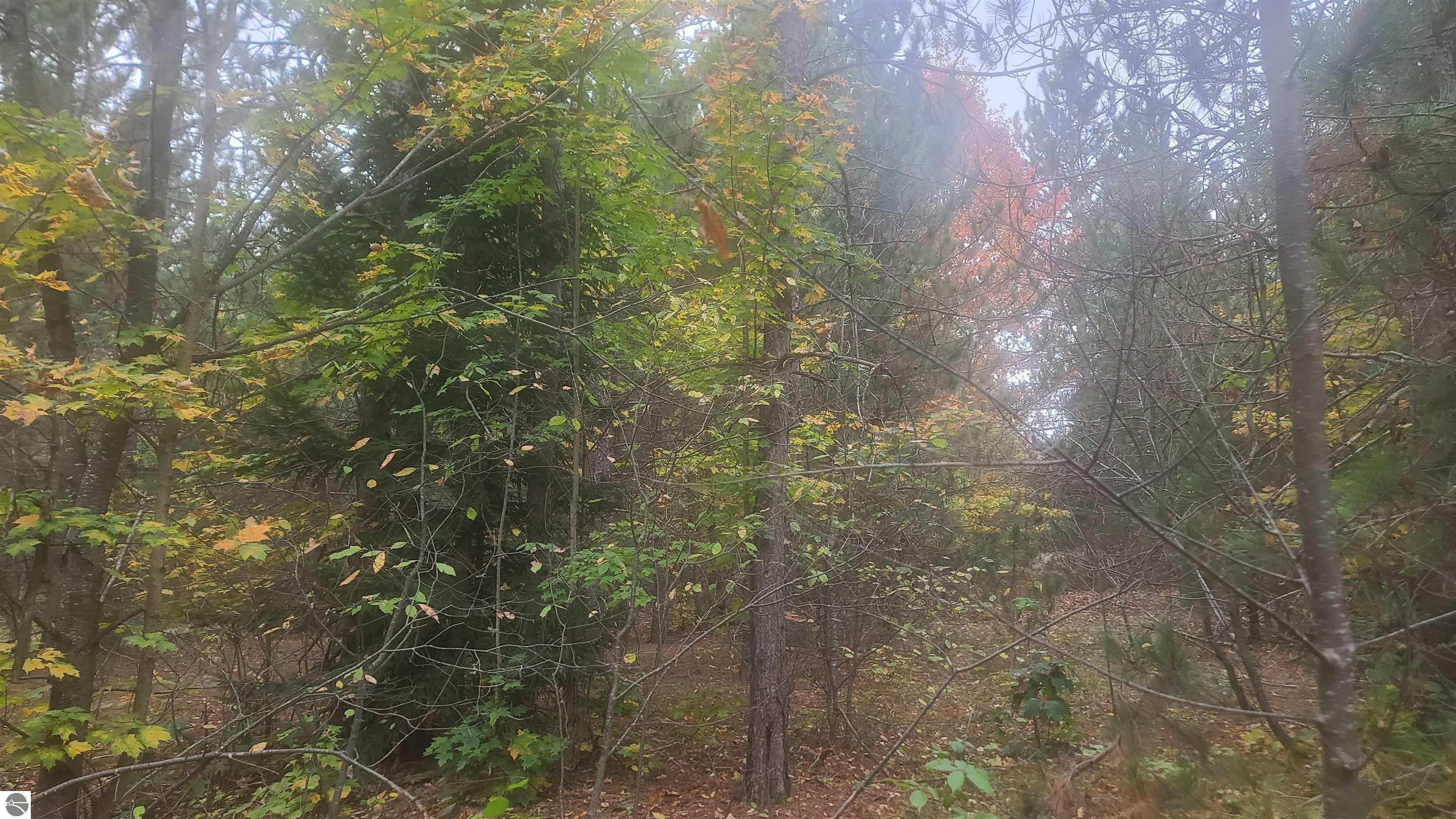 0001 Cedar River Road