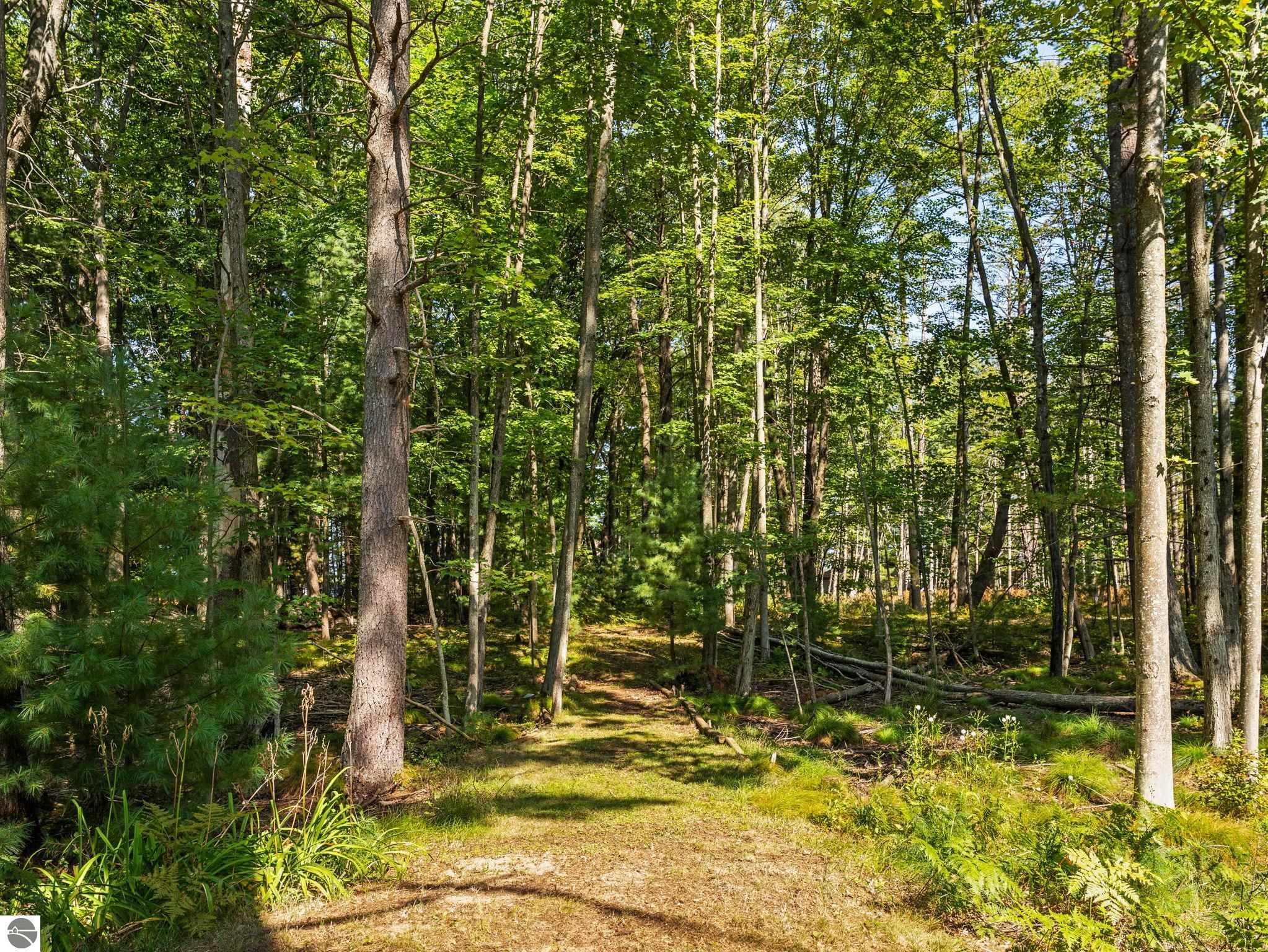 11216 Lake Shore Drive