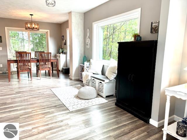 2219 Black Forest Lane