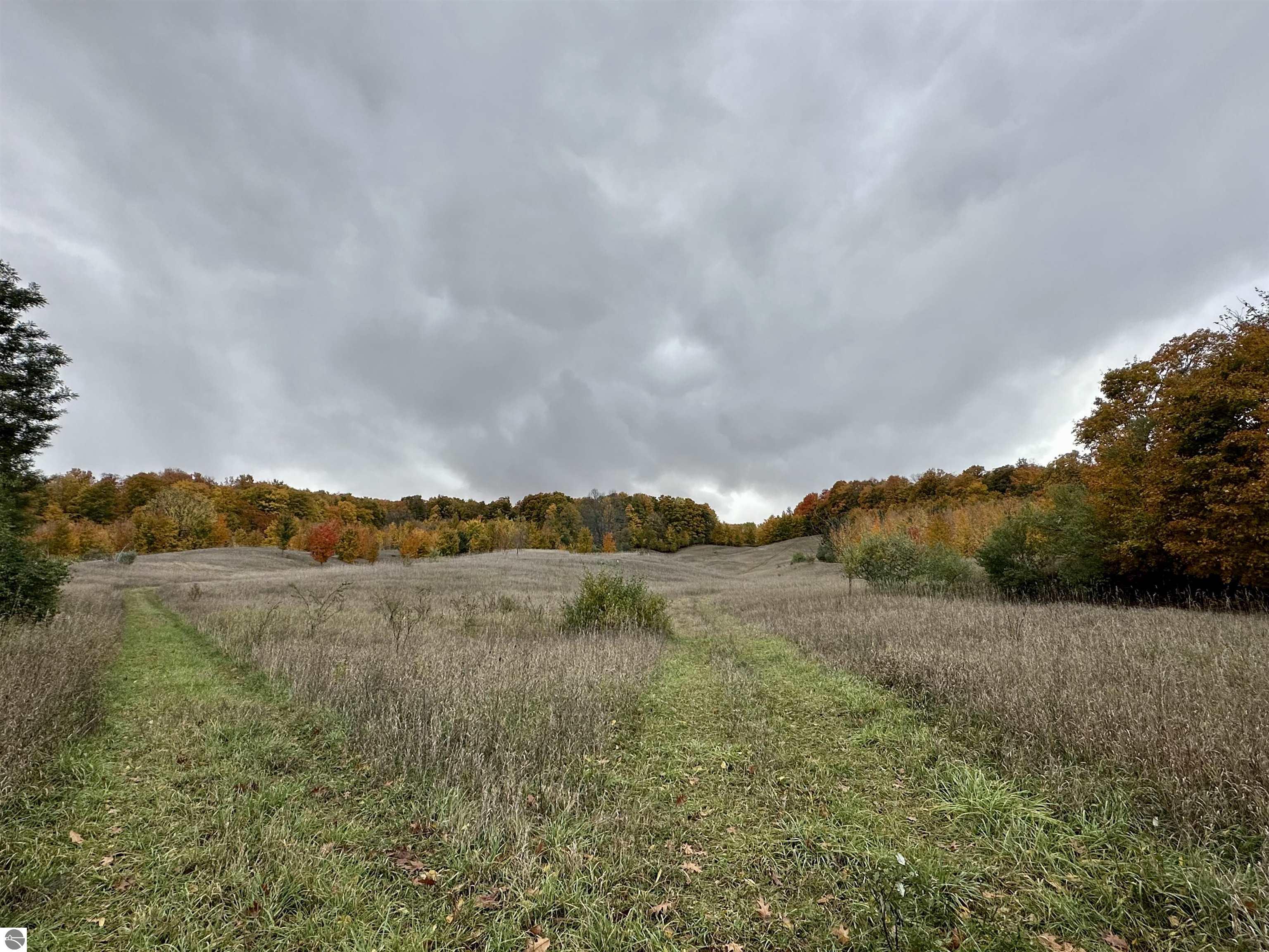 40.6 Acres Off E Popa Road