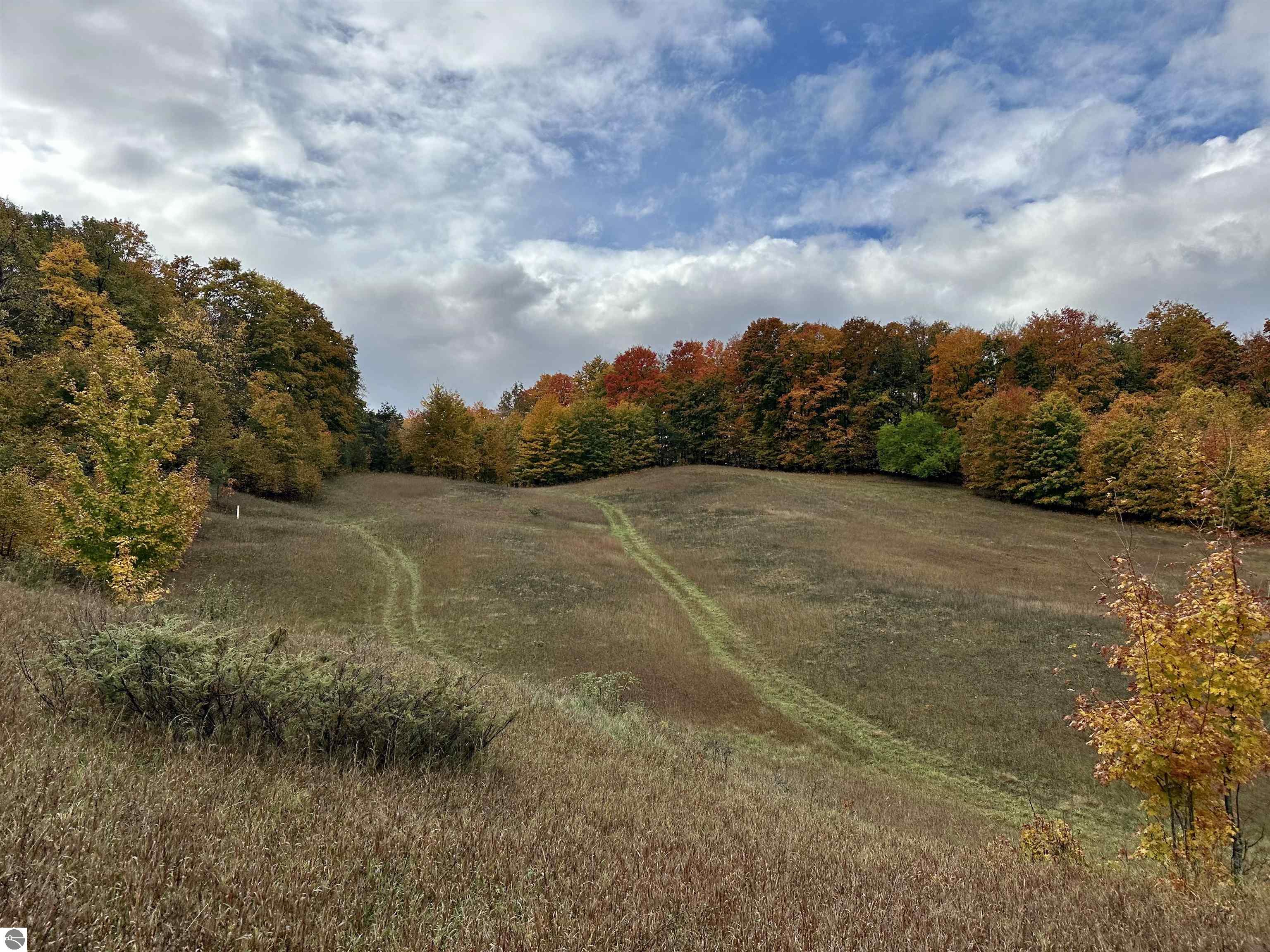 40.6 Acres Off E Popa Road