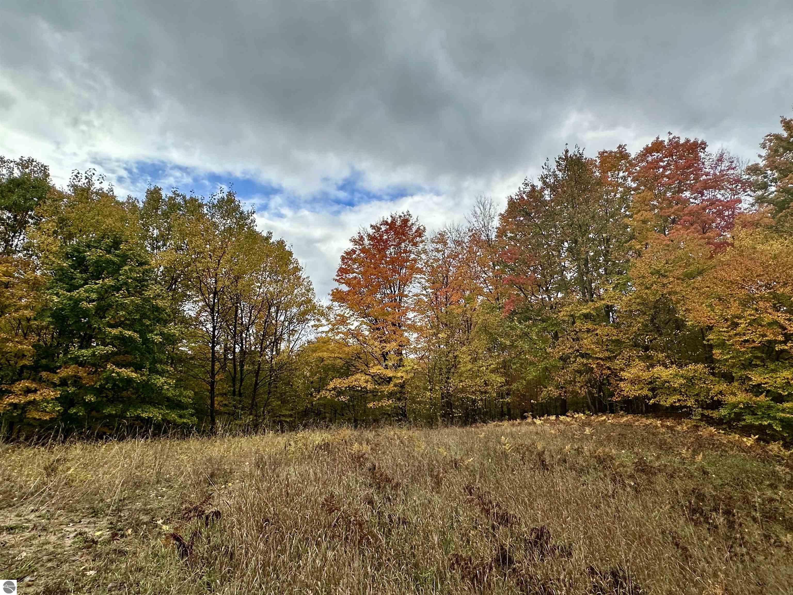 40.6 Acres Off E Popa Road