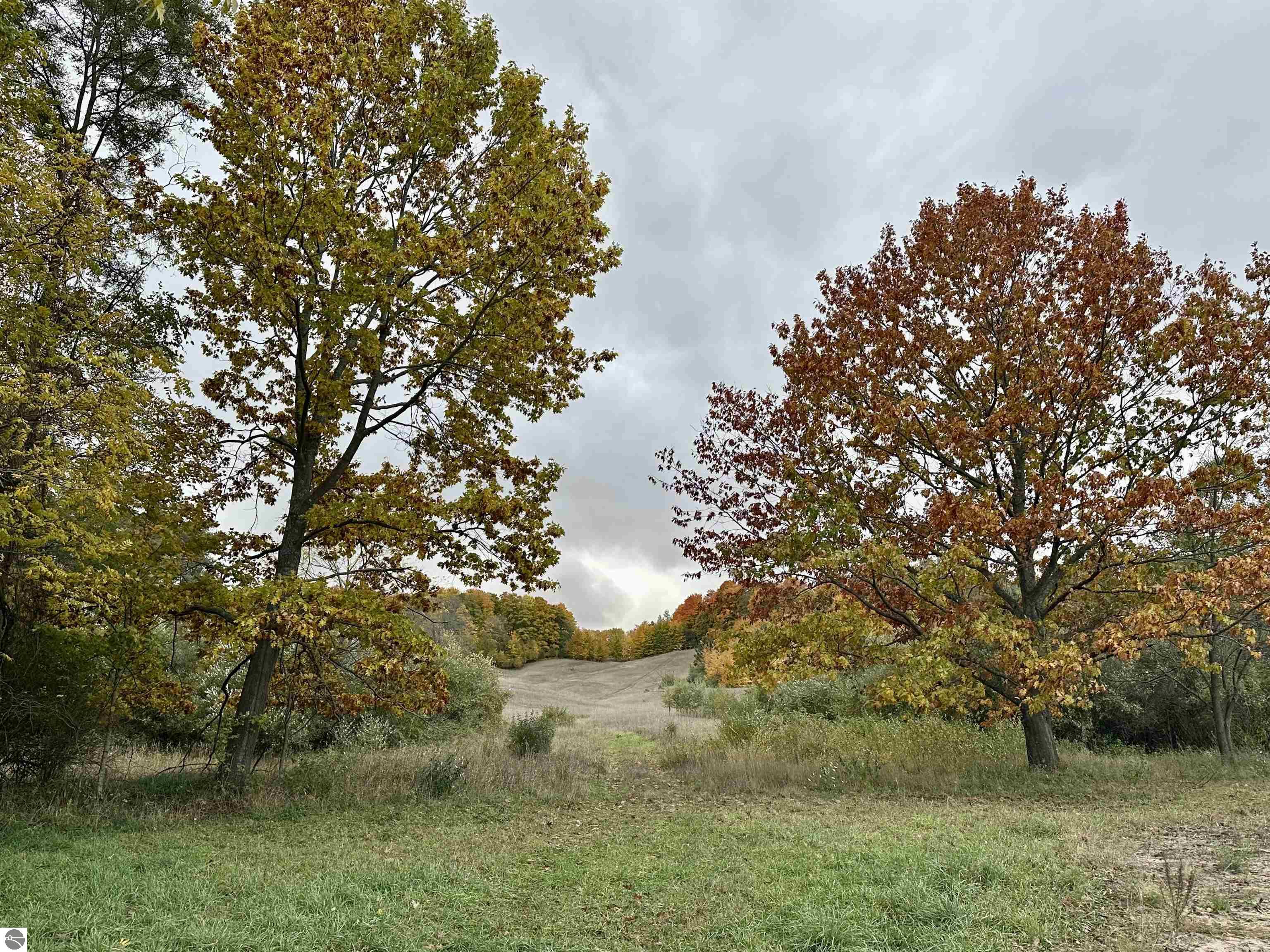 40.6 Acres Off E Popa Road