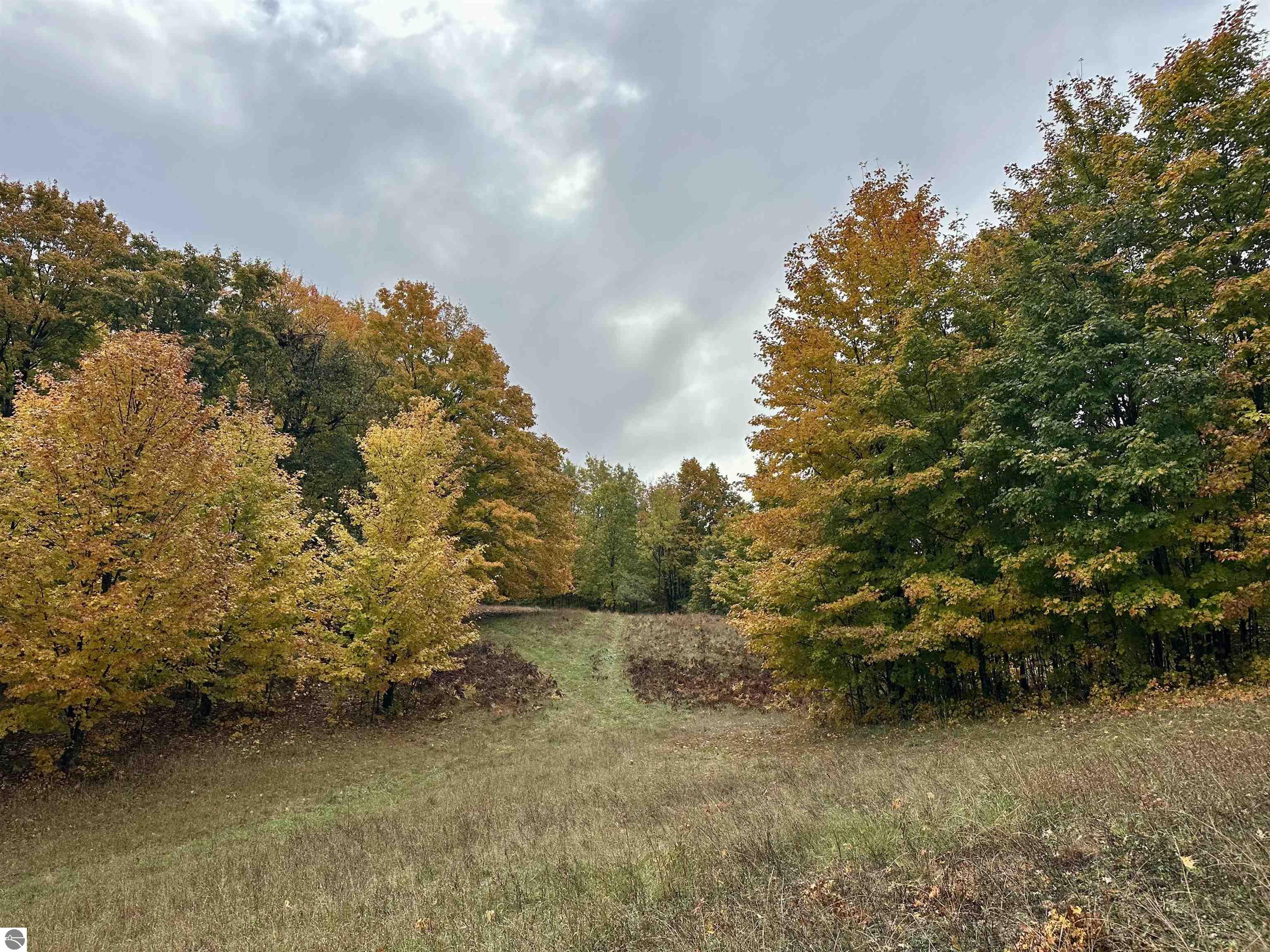 40.6 Acres Off E Popa Road