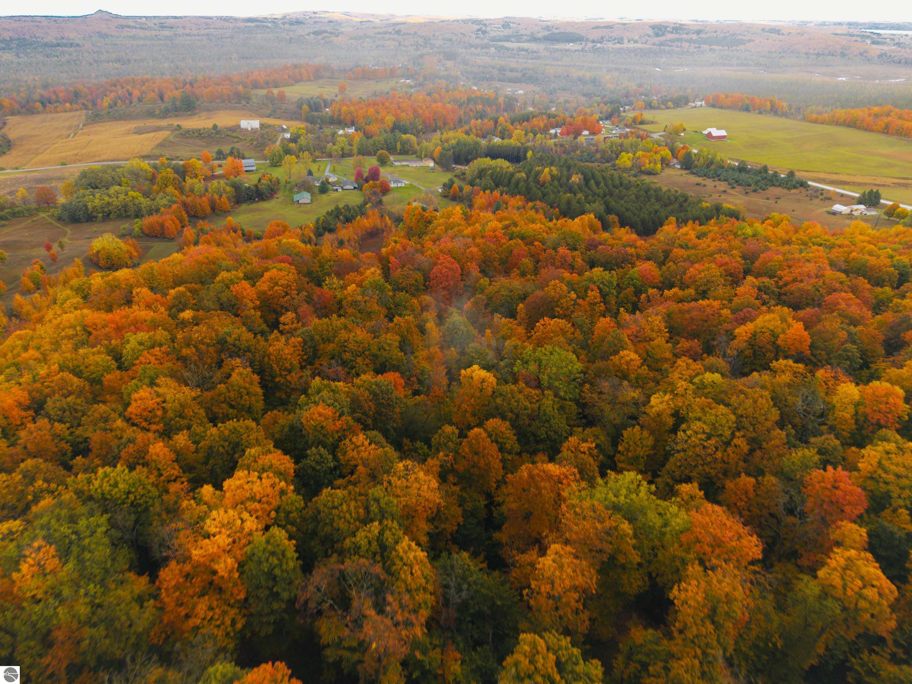 40.6 Acres Off E Popa Road