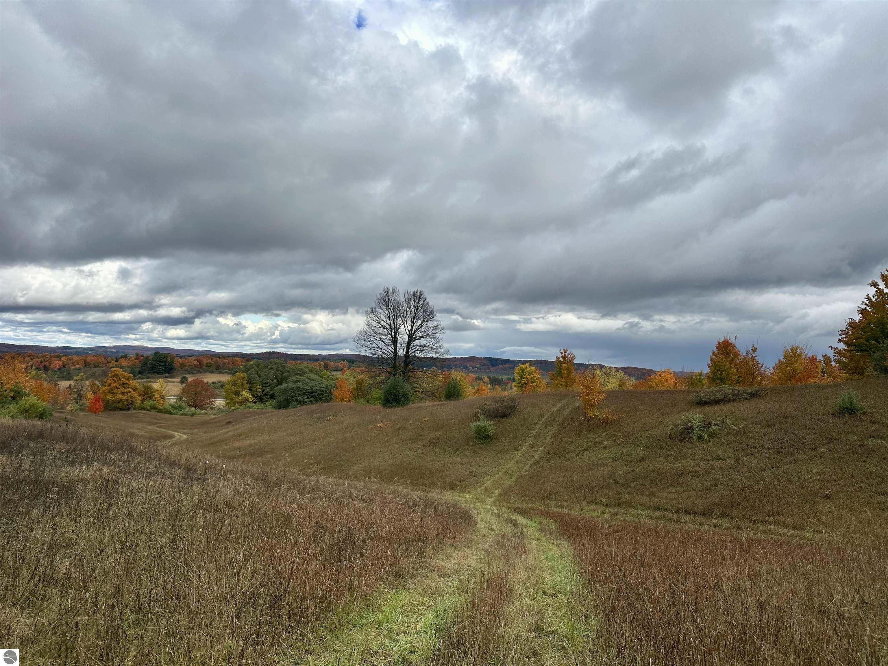 40.6 Acres Off E Popa Road