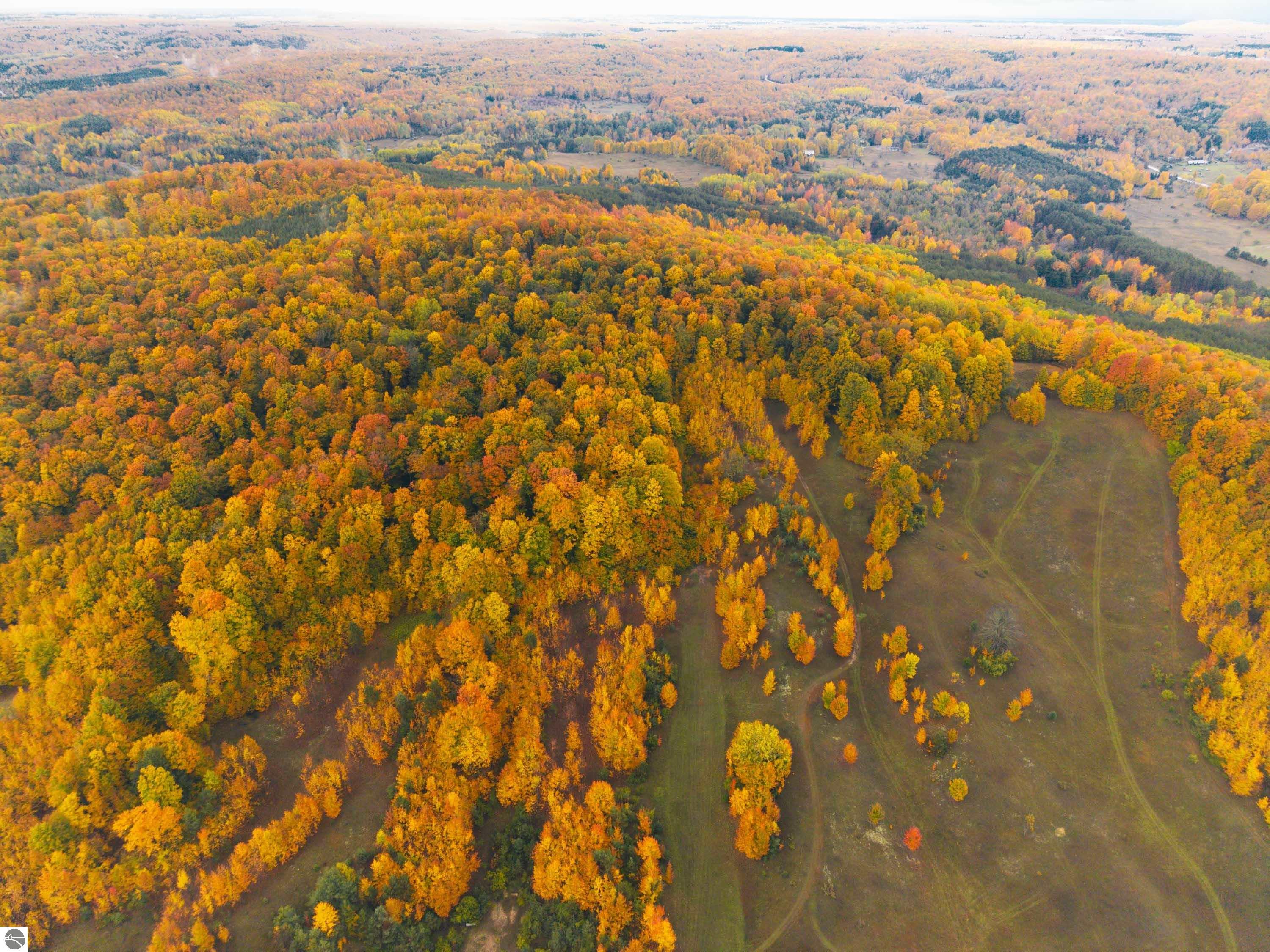 40.6 Acres Off E Popa Road