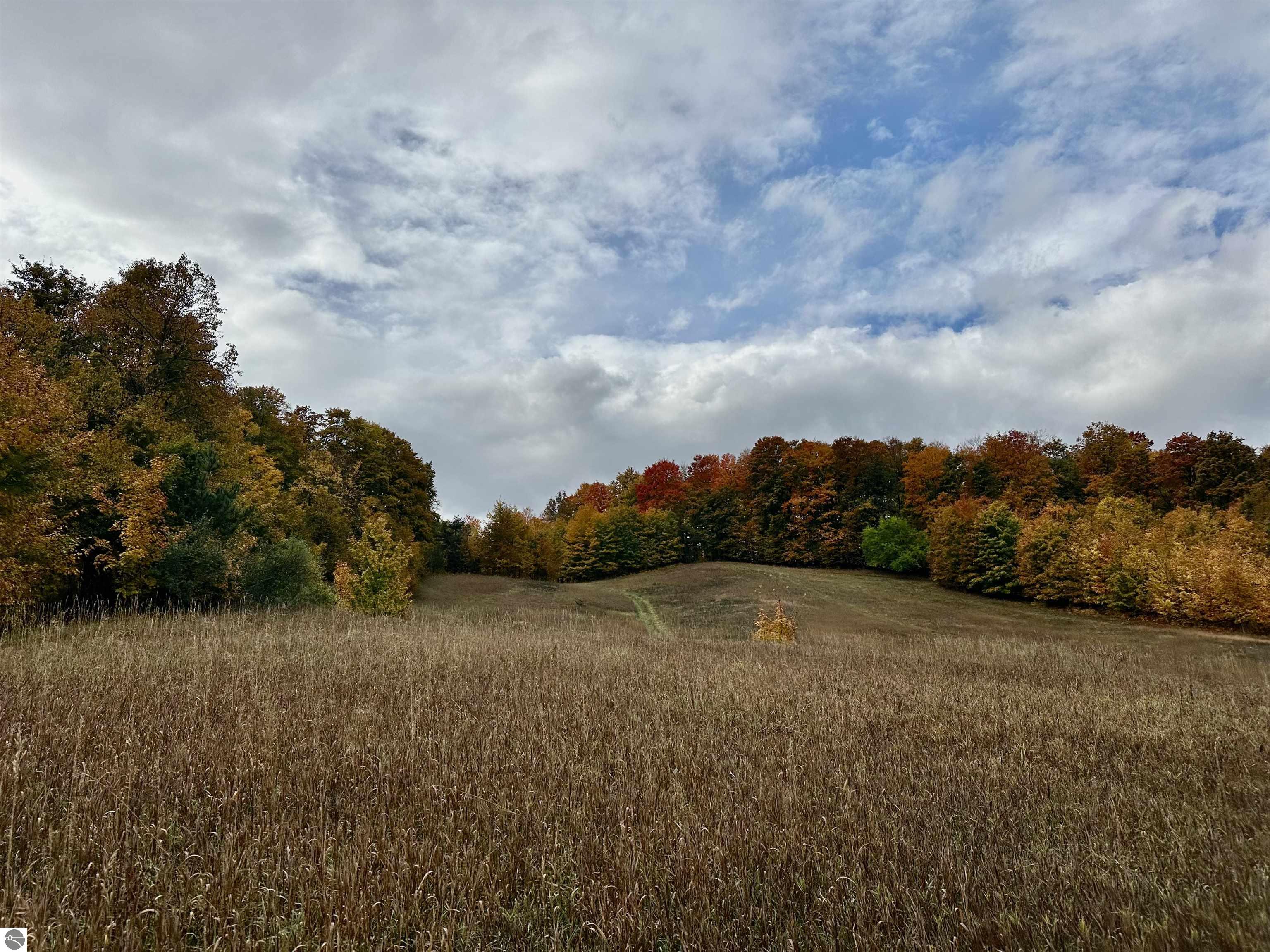 40.6 Acres Off E Popa Road