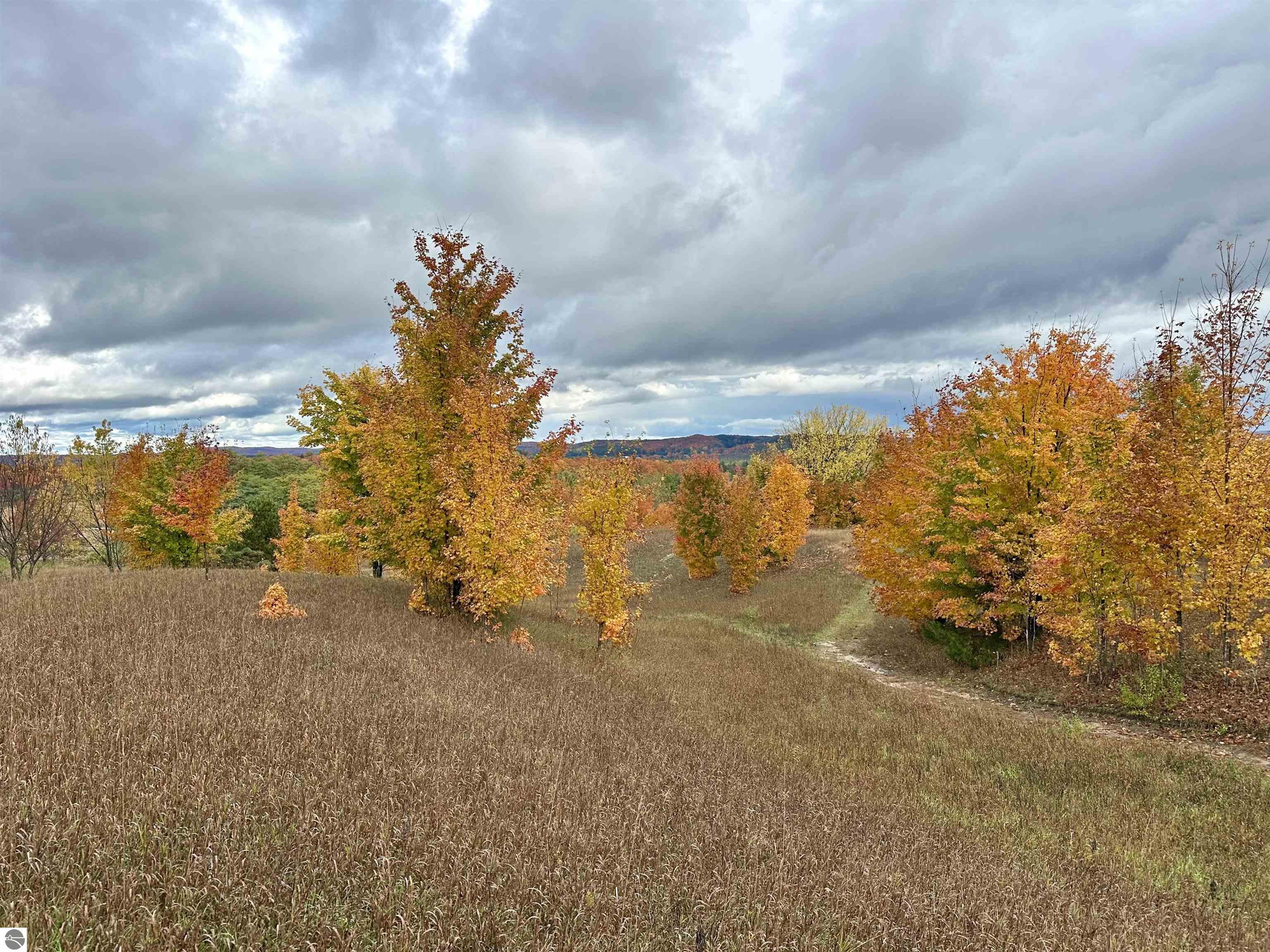 40.6 Acres Off E Popa Road