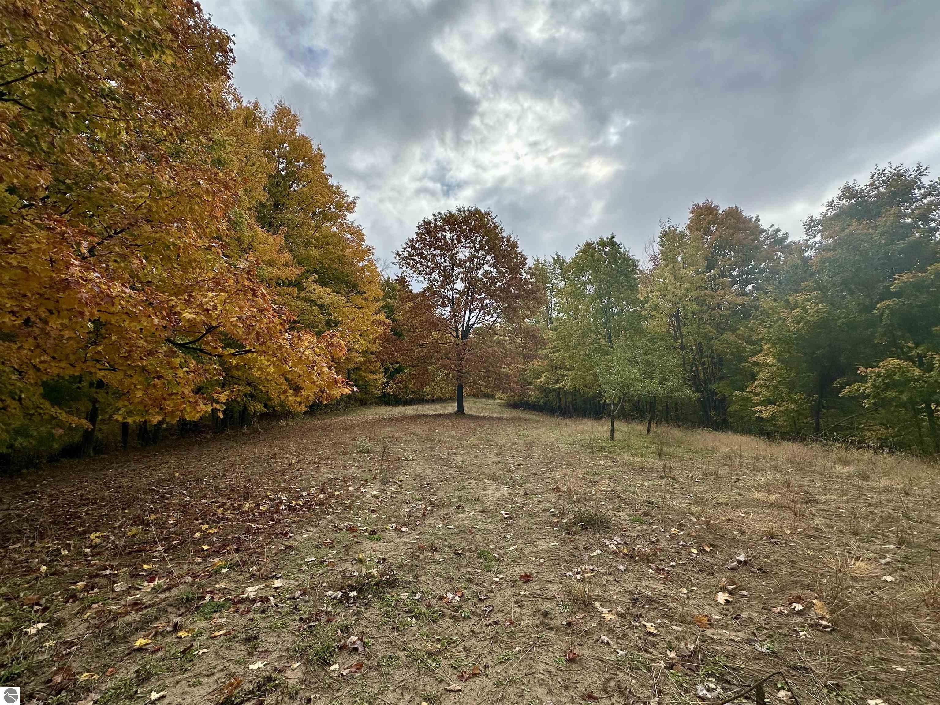 40.6 Acres Off E Popa Road