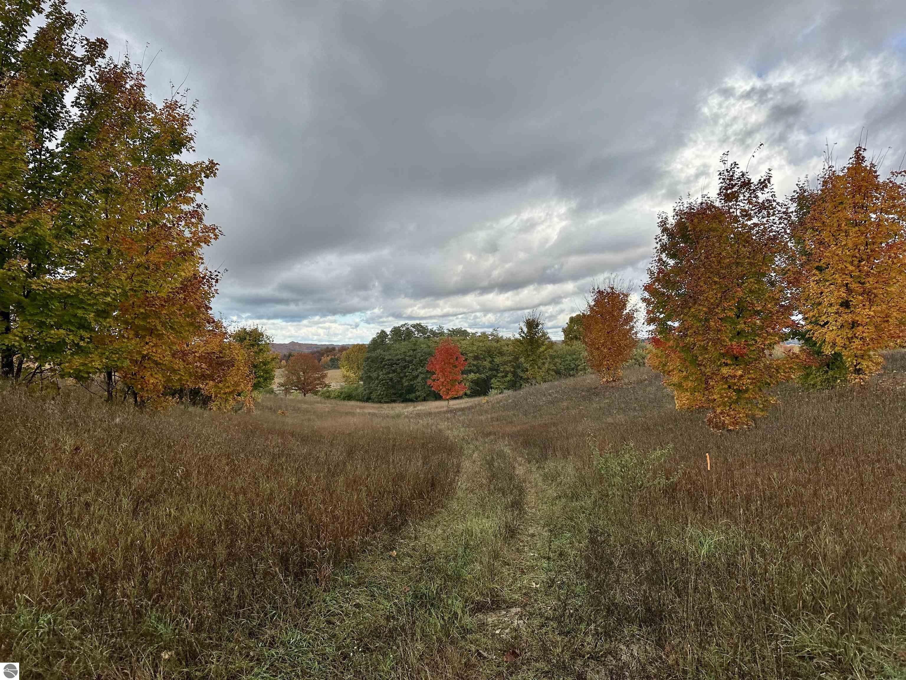 40.6 Acres Off E Popa Road