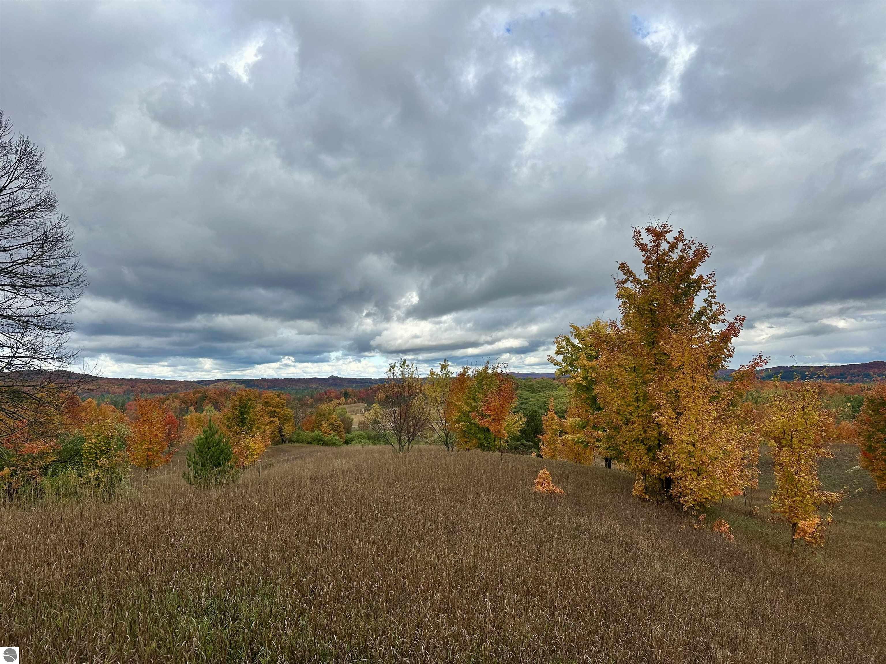 40.6 Acres Off E Popa Road