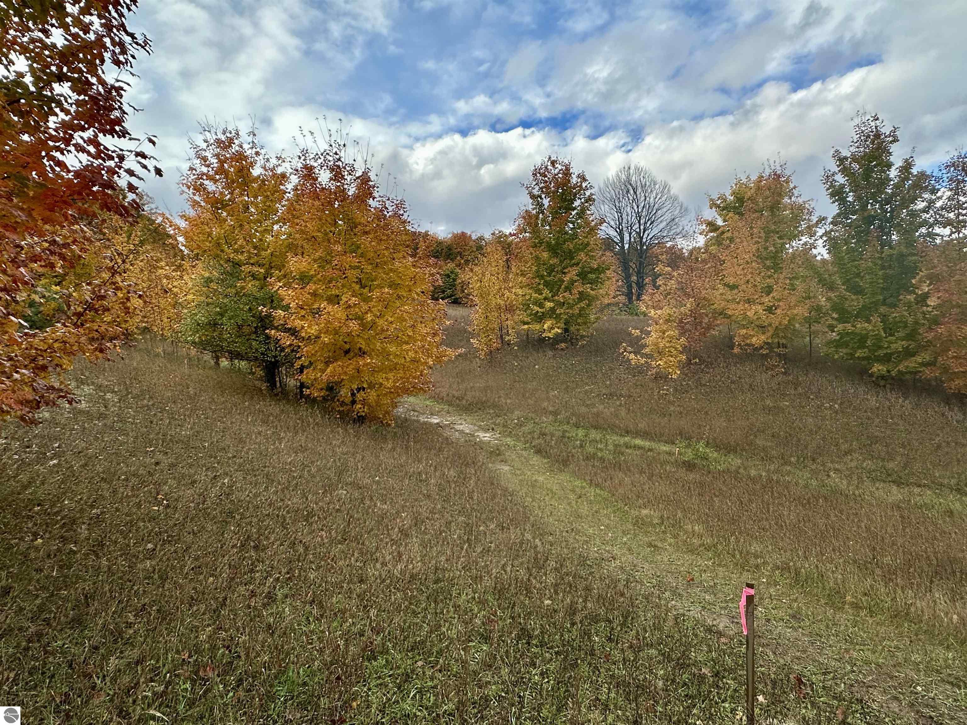 40.6 Acres Off E Popa Road