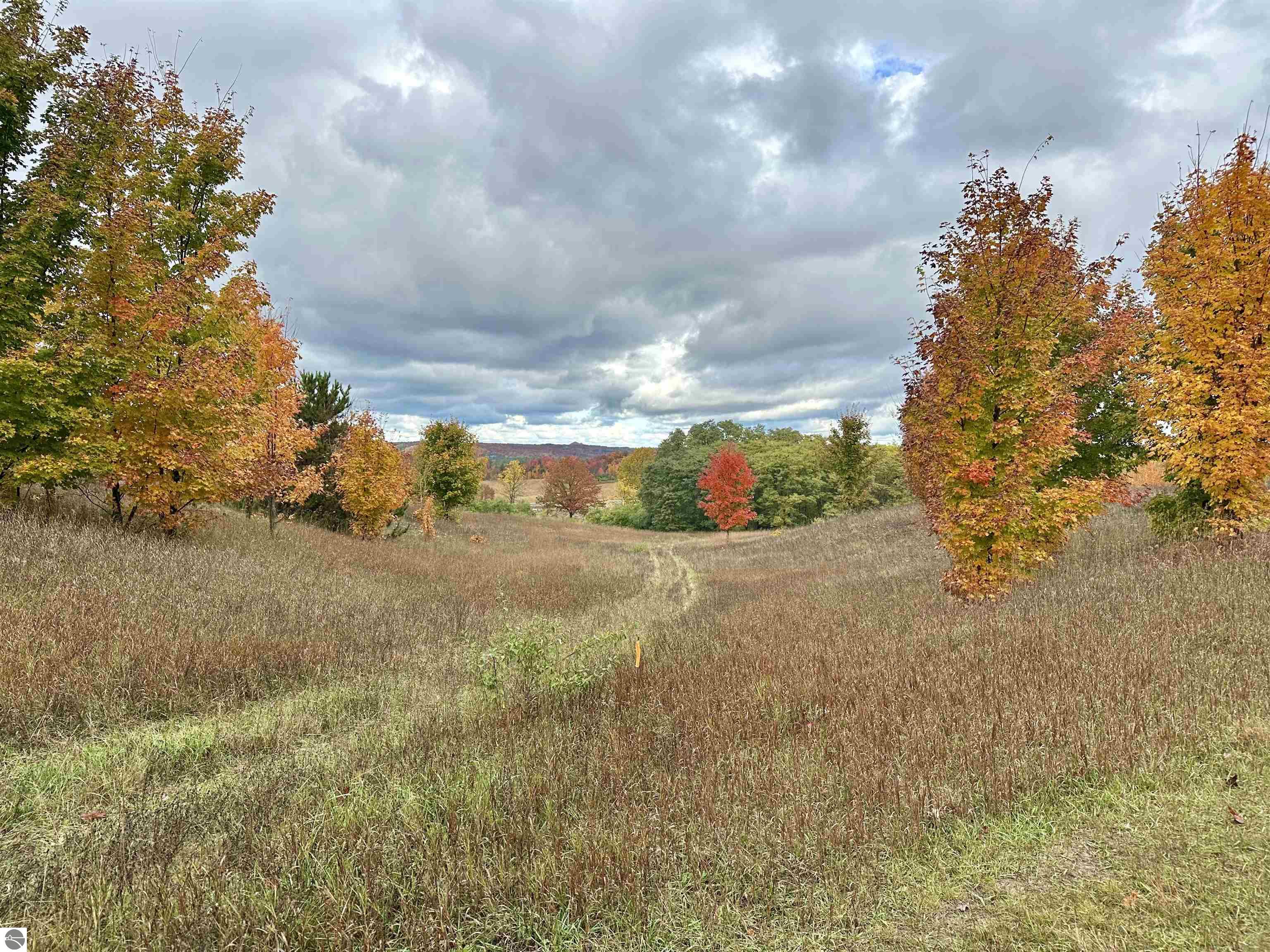 40.6 Acres Off E Popa Road