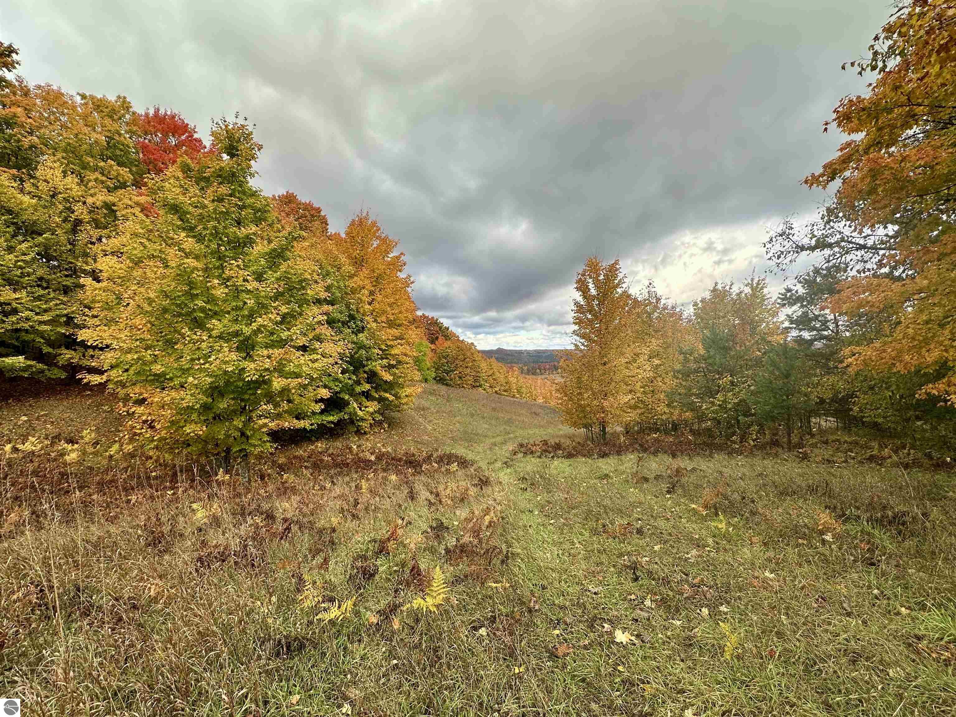 40.6 Acres Off E Popa Road