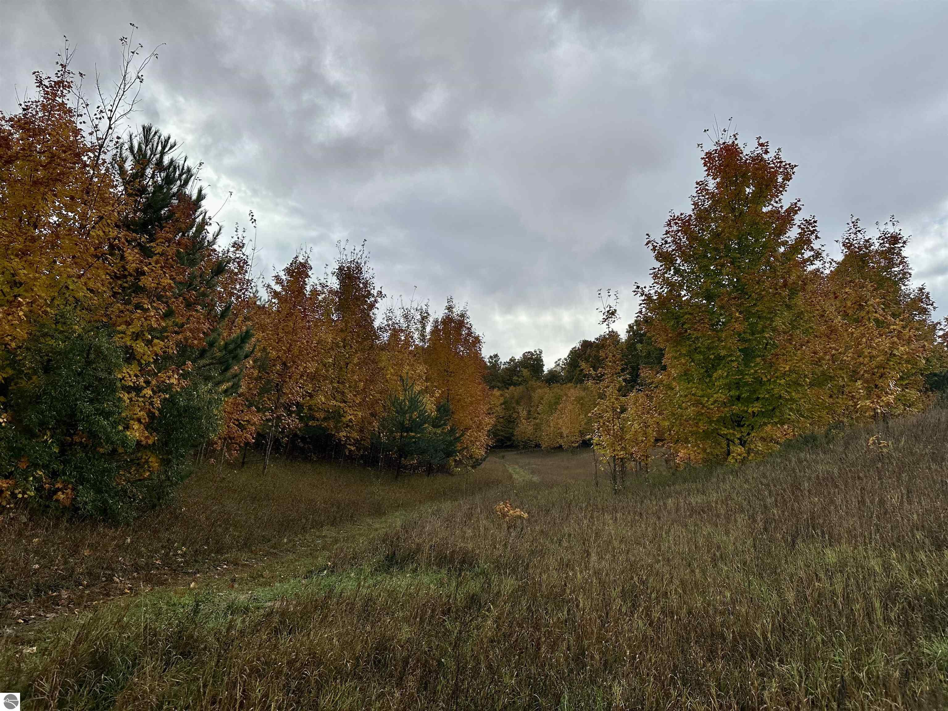 40.6 Acres Off E Popa Road