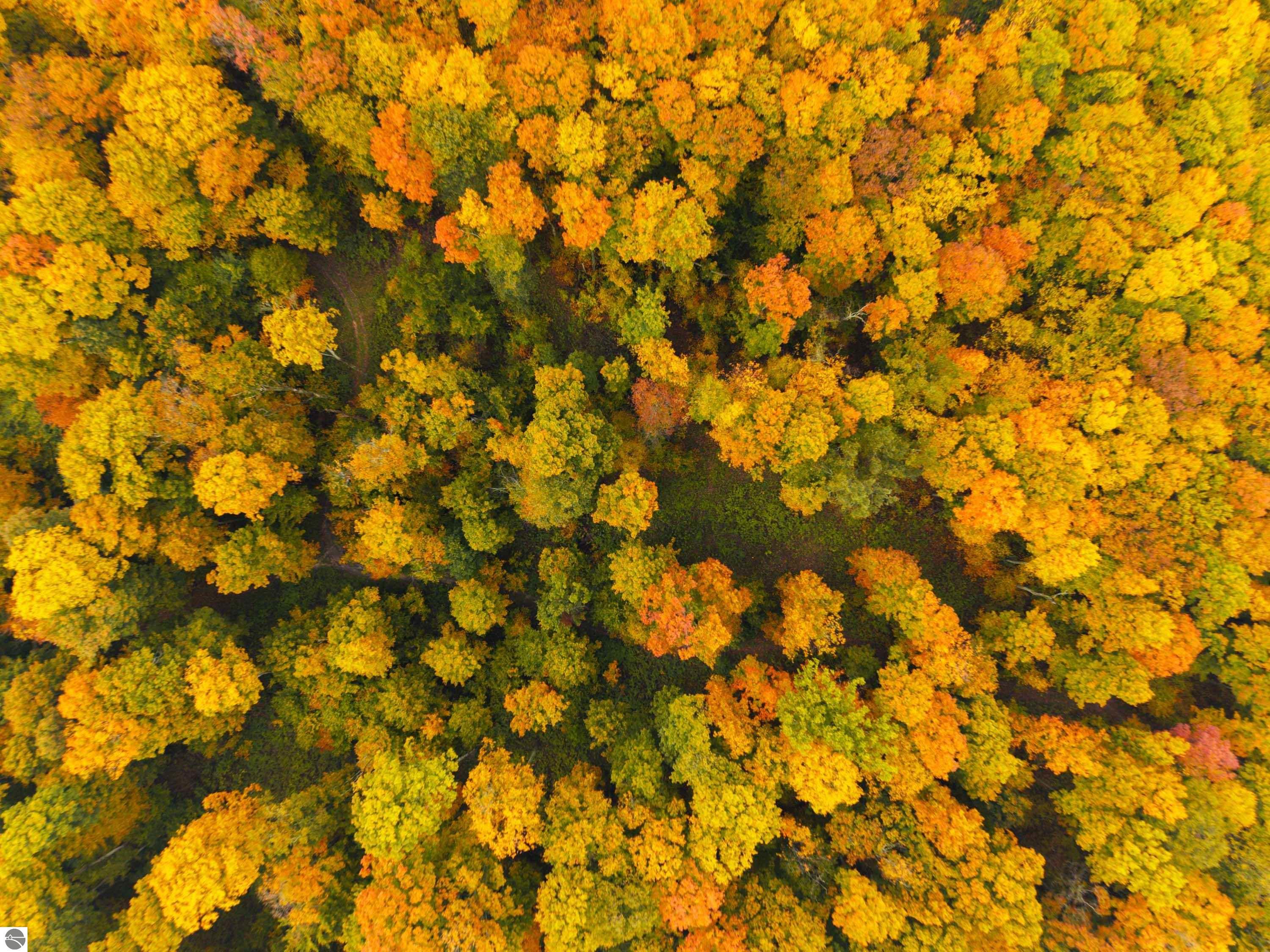 40.6 Acres Off E Popa Road