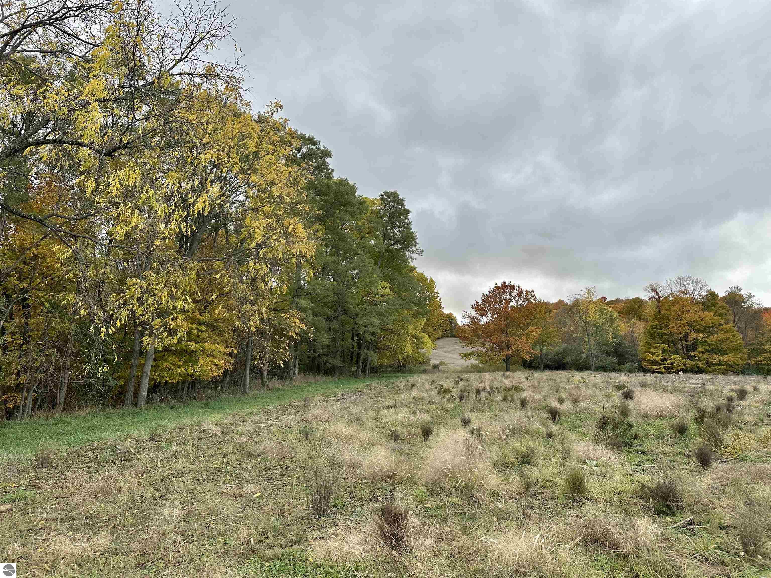 40.6 Acres Off E Popa Road