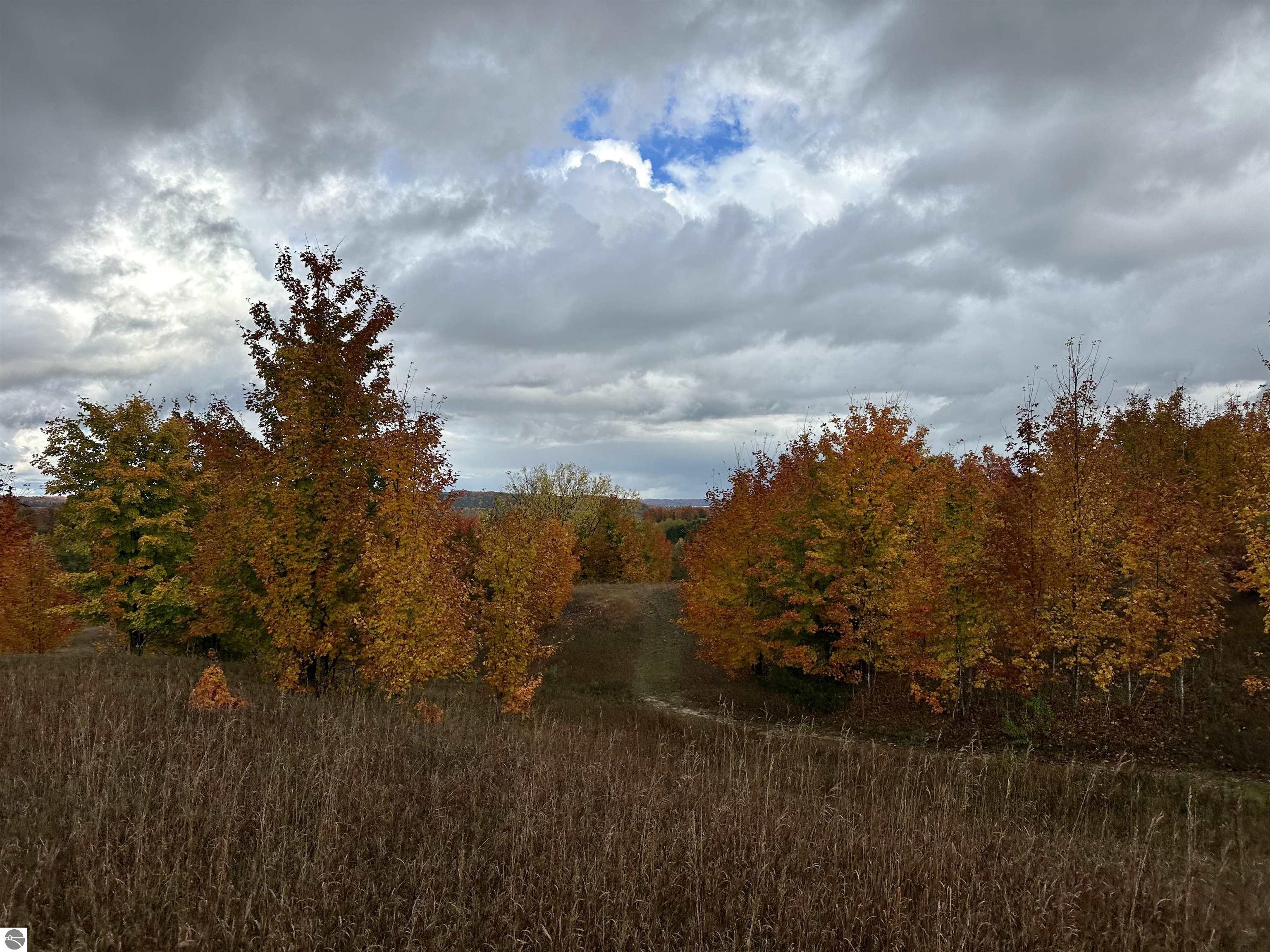 40.6 Acres Off E Popa Road