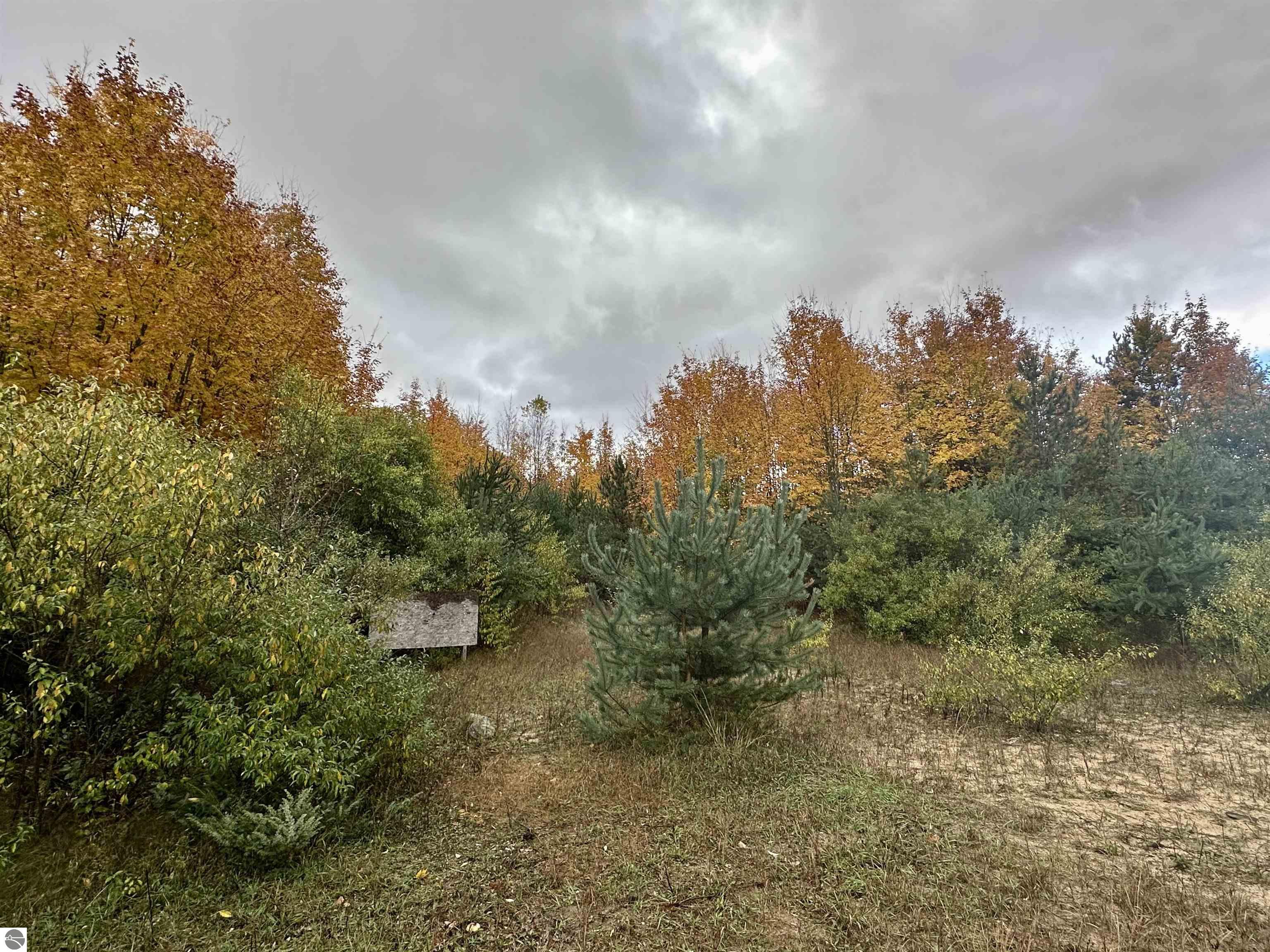 2.4 Acres off E Popa Road