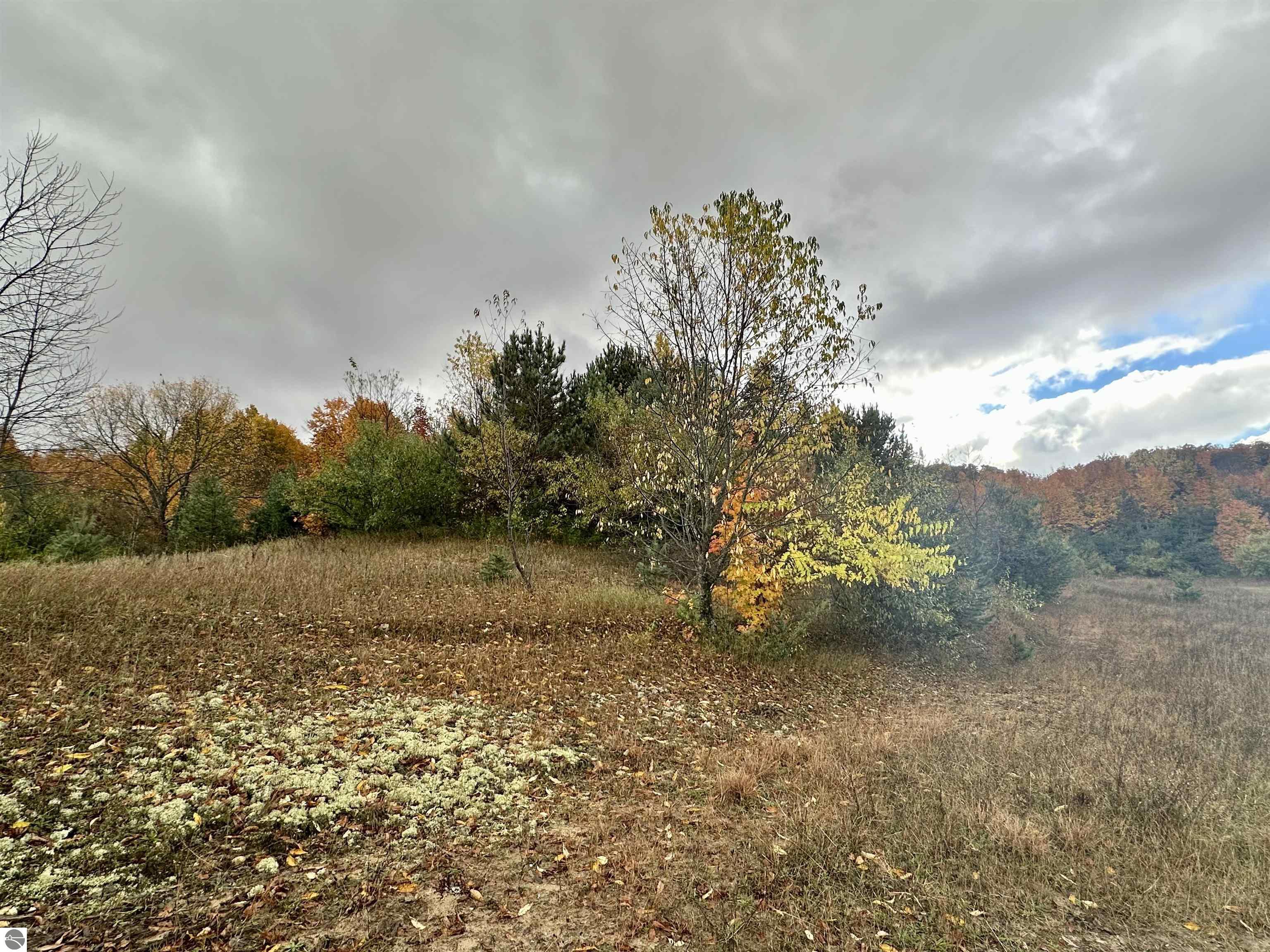 2.4 Acres off E Popa Road